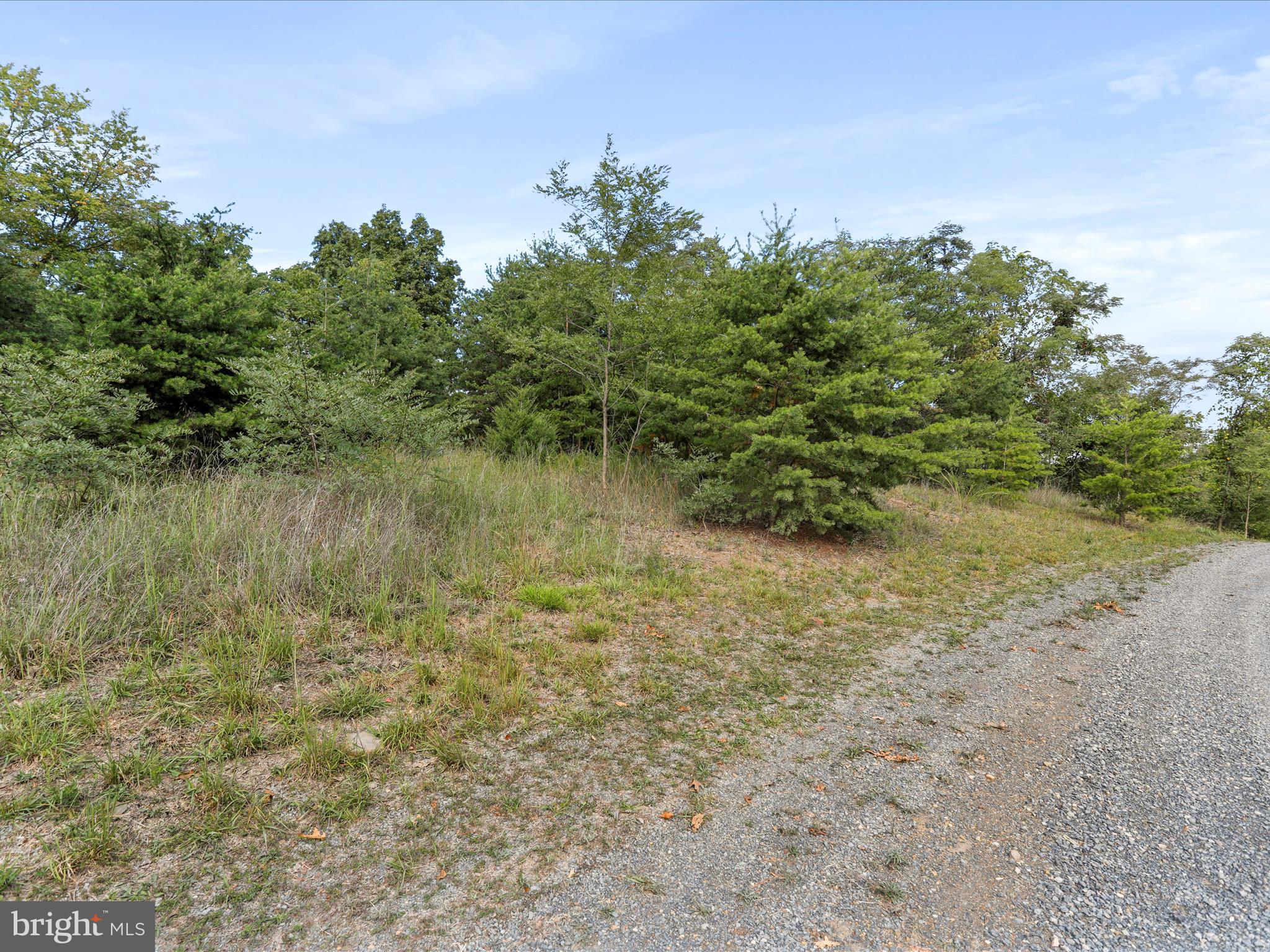 CARDINAL RIDGE ESTATES - Land