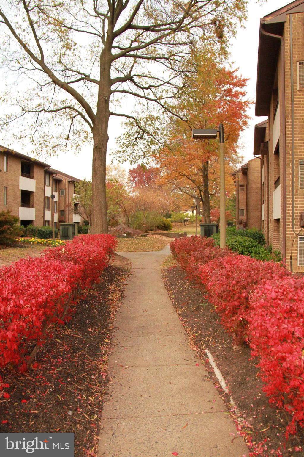 JEFFERSON MEWS - Residential Lease