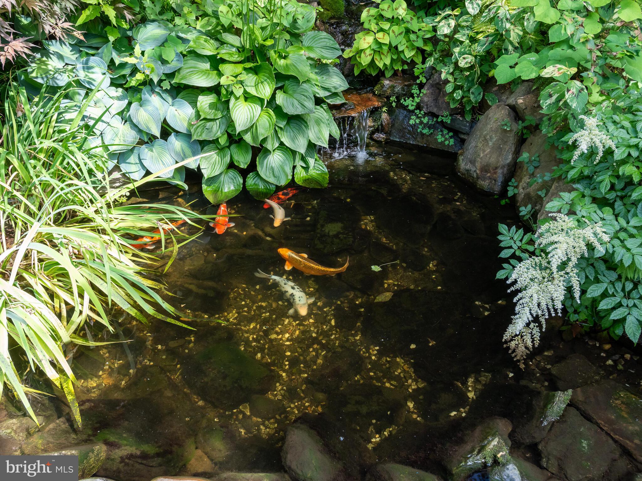 VICTORIA CROSSING - Residential