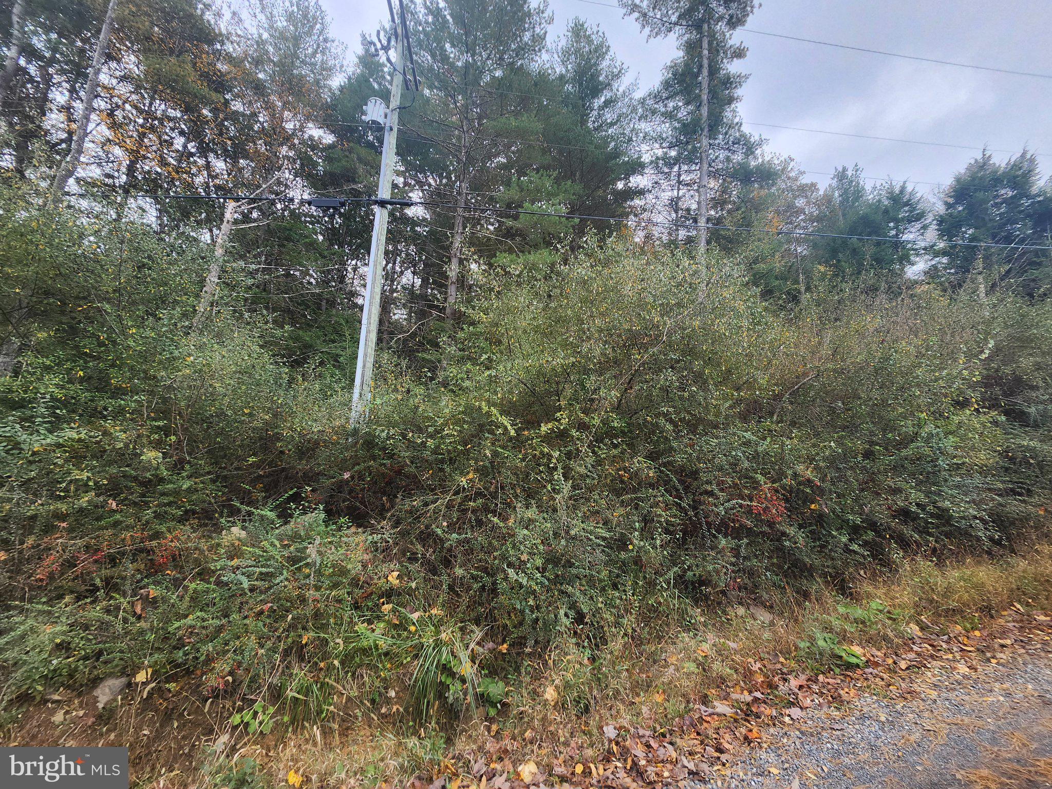 LOT 3 WILDLIFE DRIVE