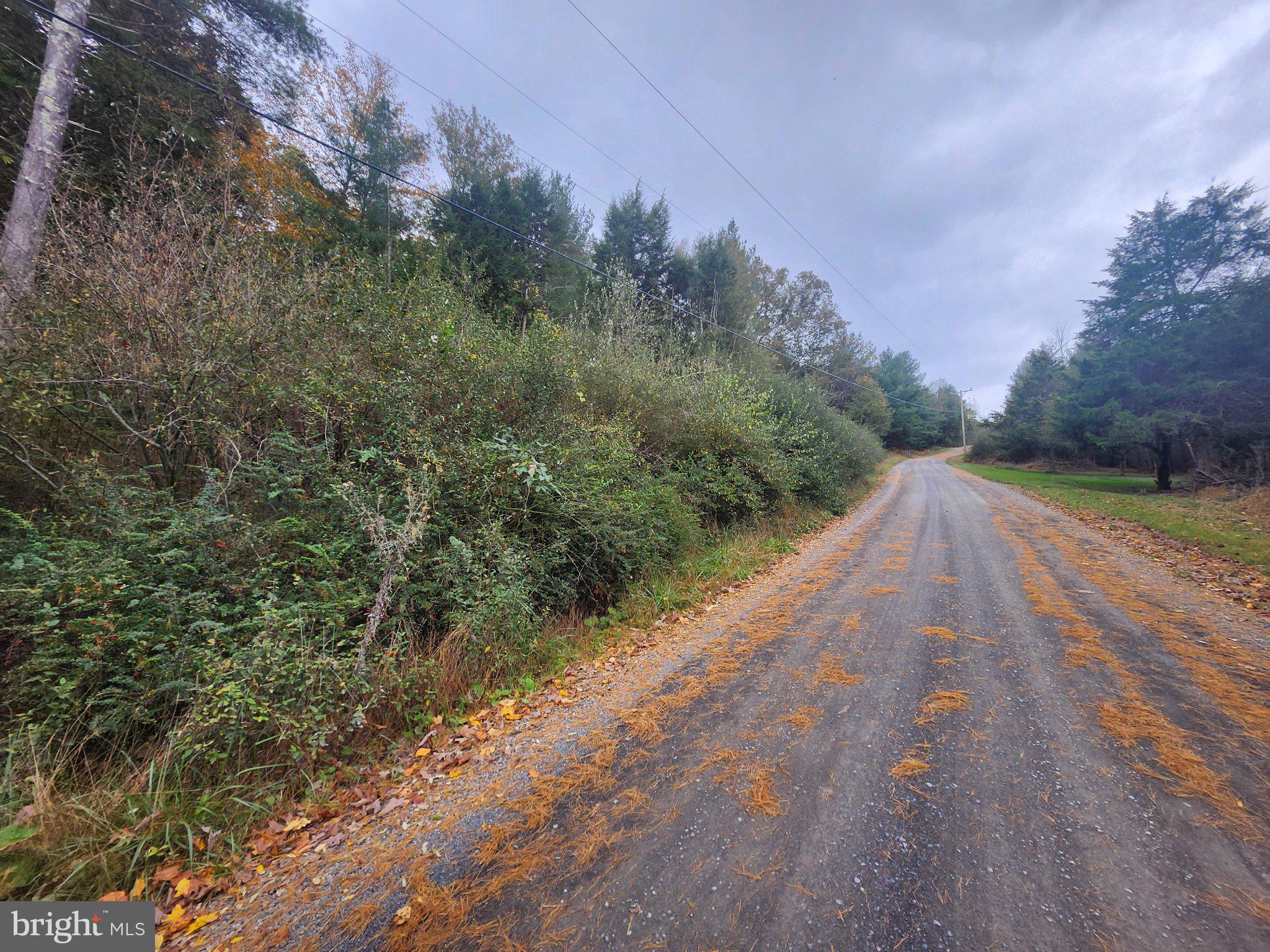 LOT 3 WILDLIFE DRIVE