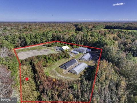 Vacant Land For Sale - 30402 Jay Patch Road<br/> SELBYVILLE, DE 19975