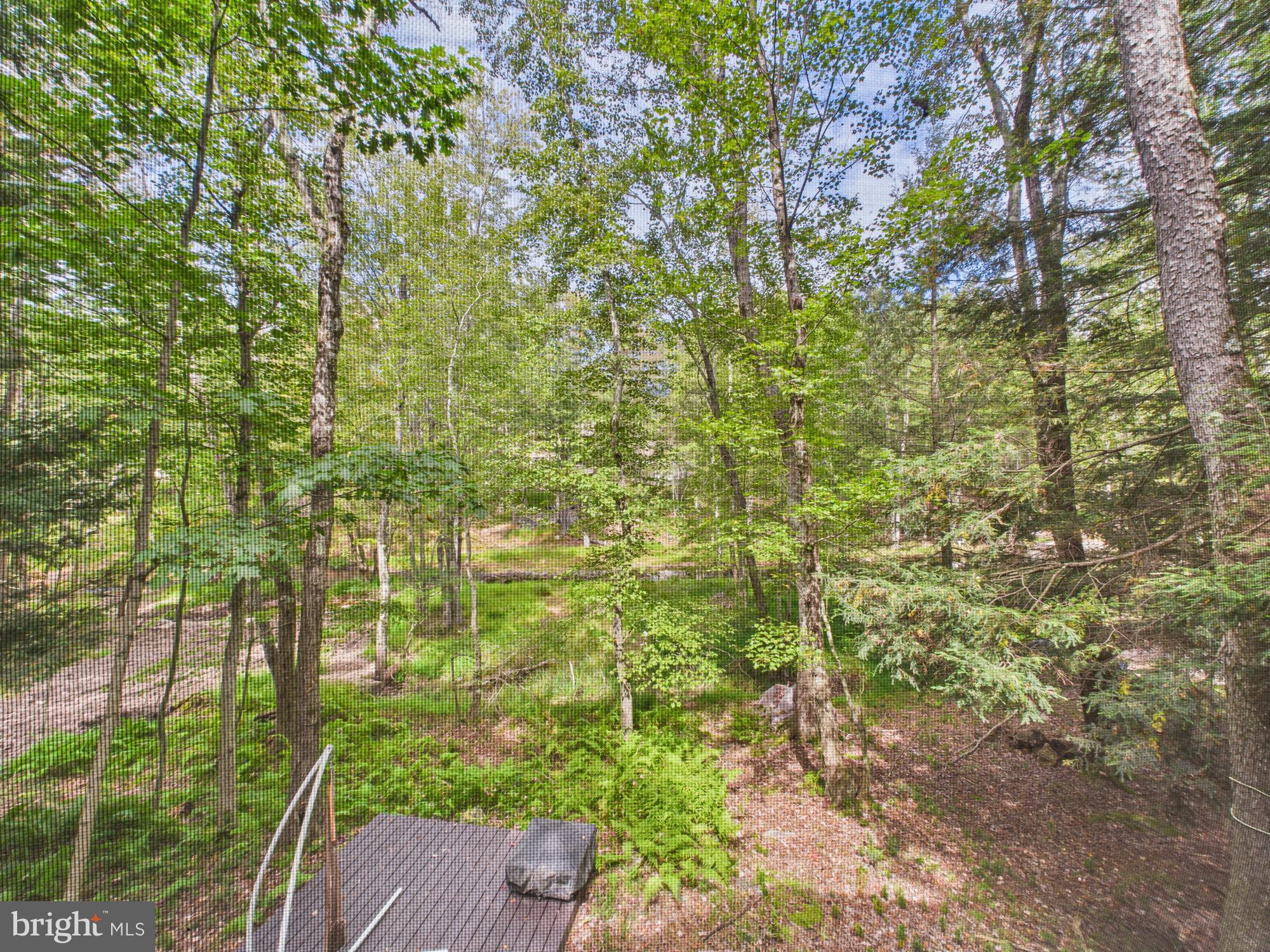 ARROWHEAD LAKE - Residential