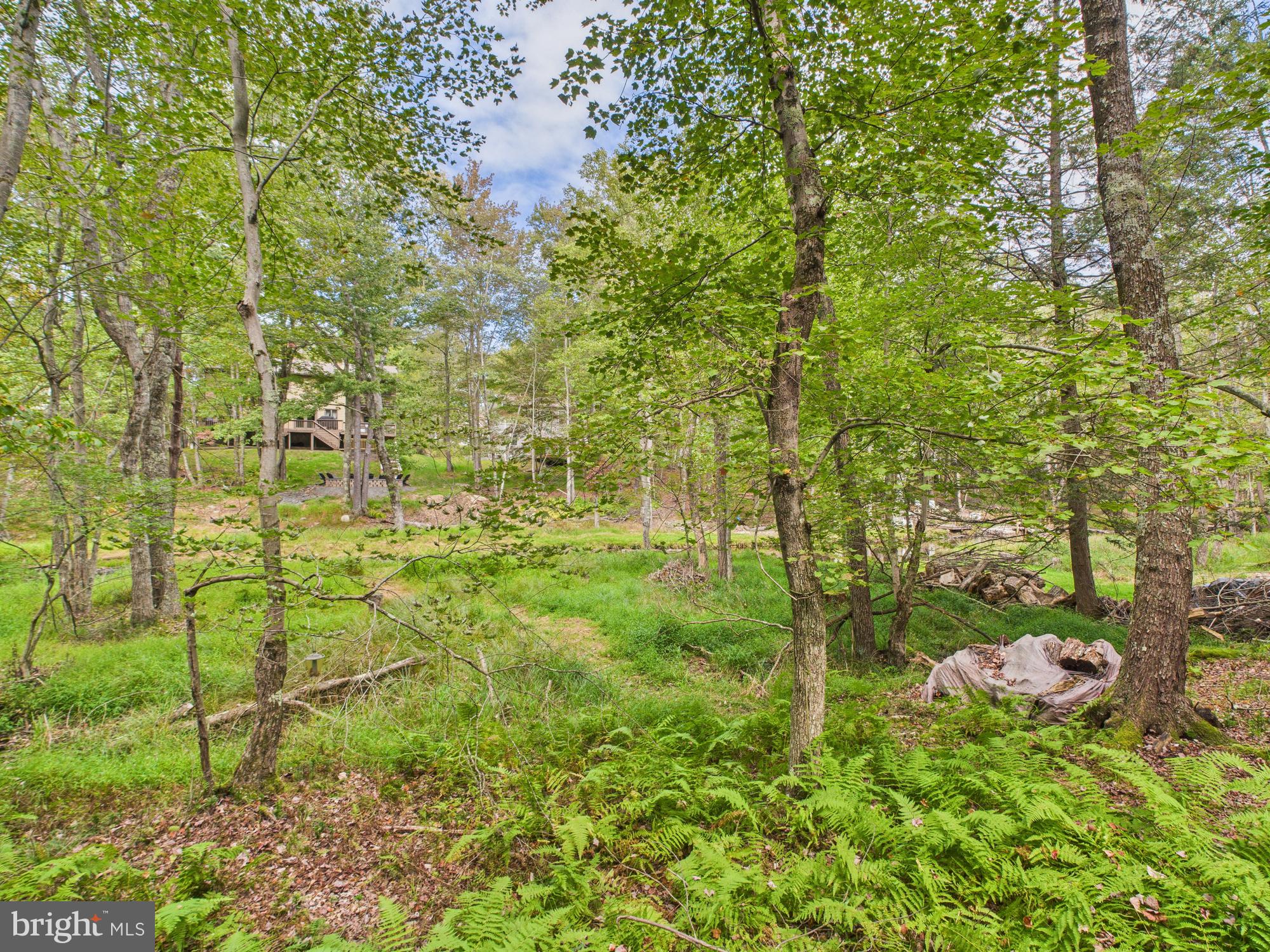 ARROWHEAD LAKE - Residential
