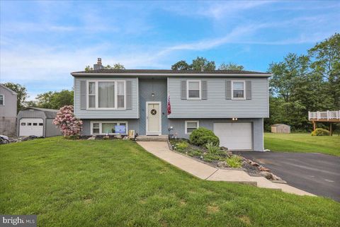 43 CARRIAGE CIRCLE OLEY PA 19547