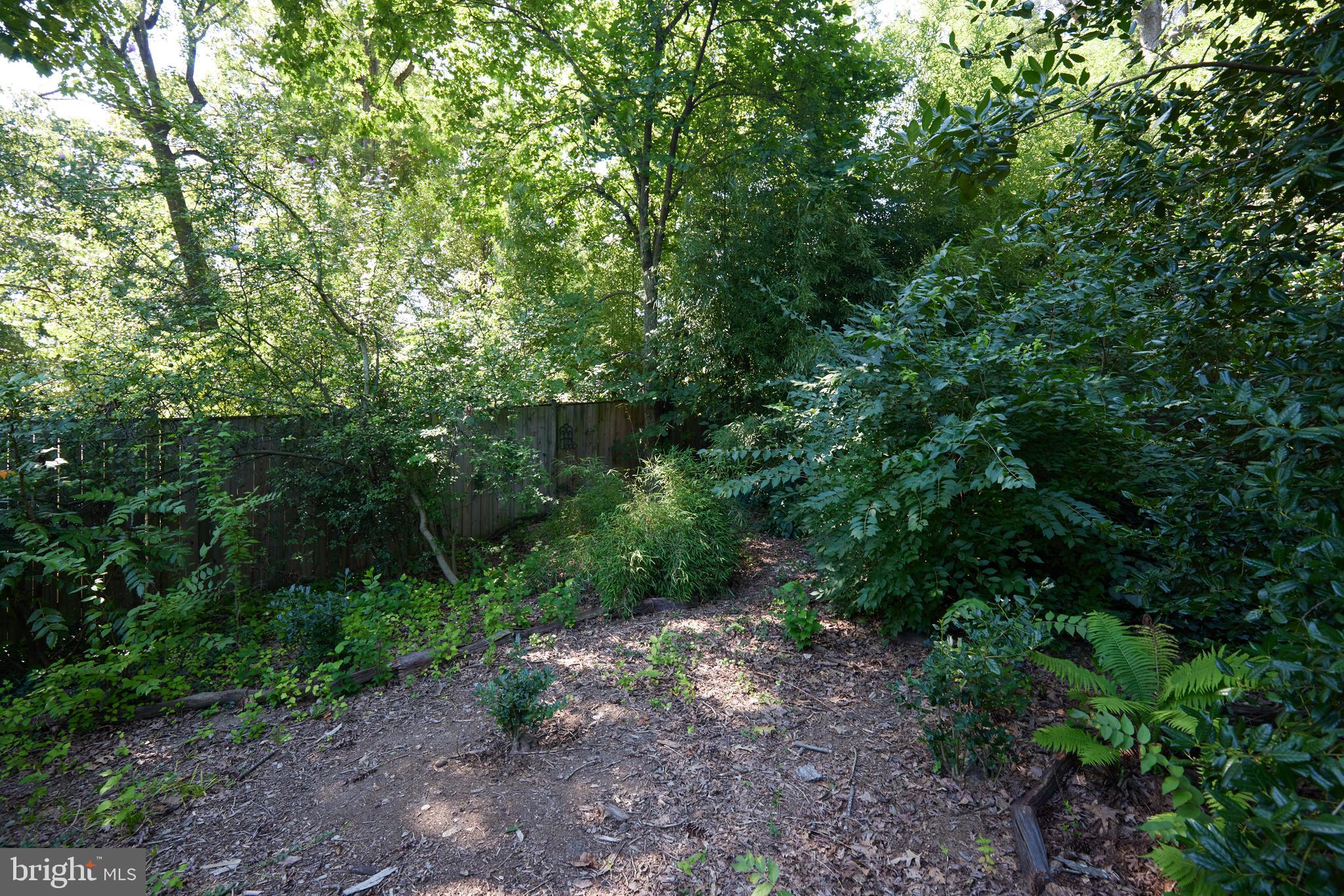 TAKOMA PARK - Residential