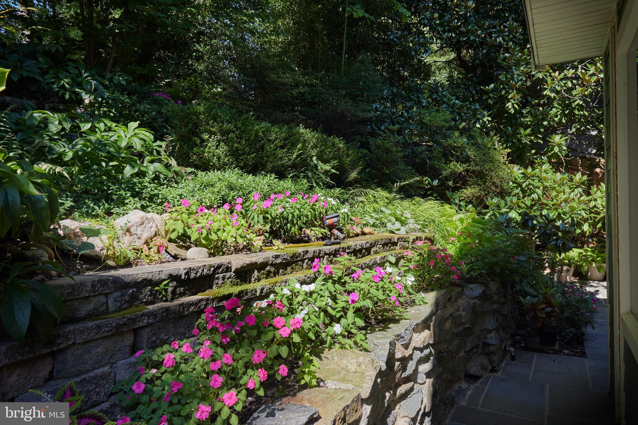 TAKOMA PARK - Residential