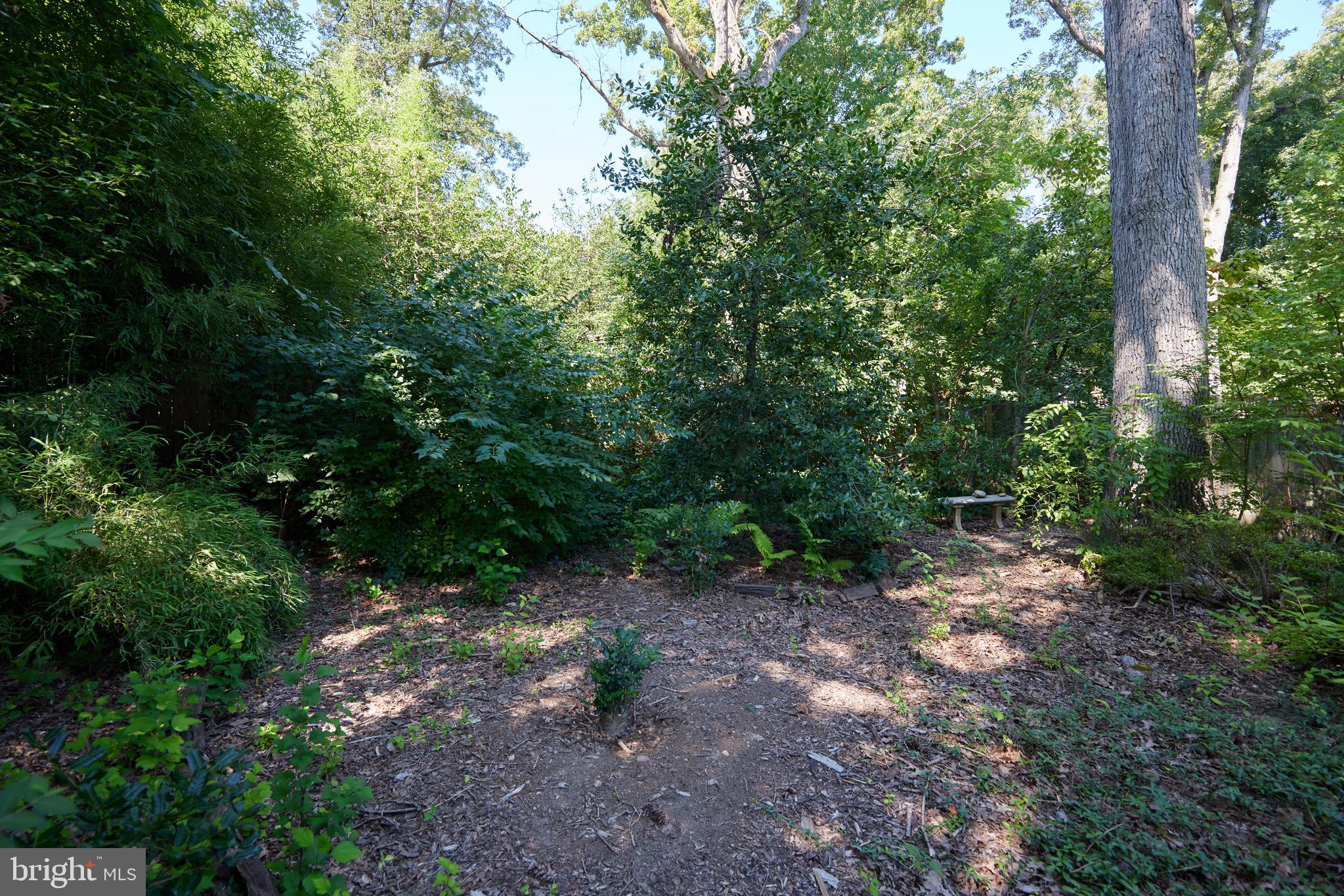 TAKOMA PARK - Residential