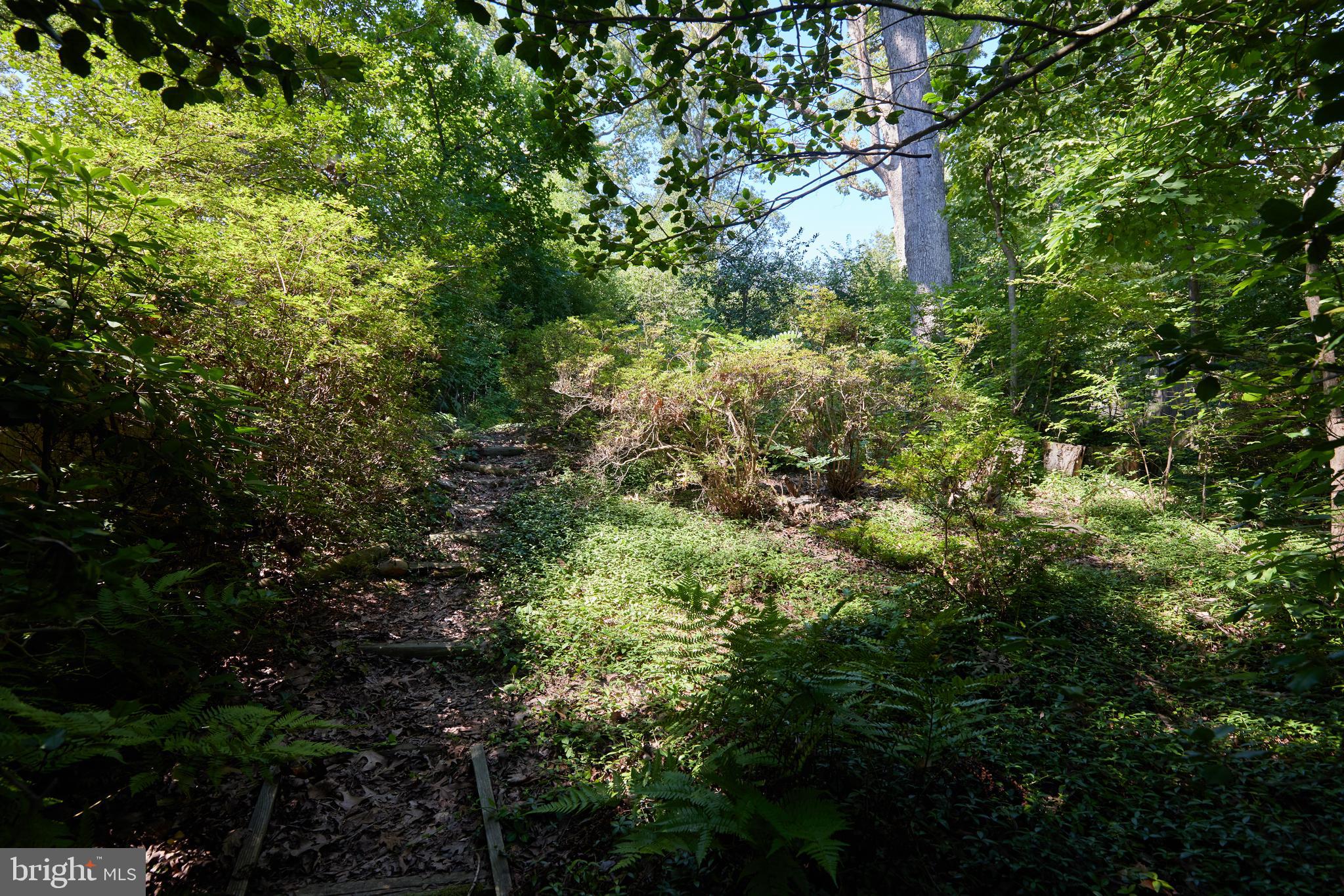 TAKOMA PARK - Residential