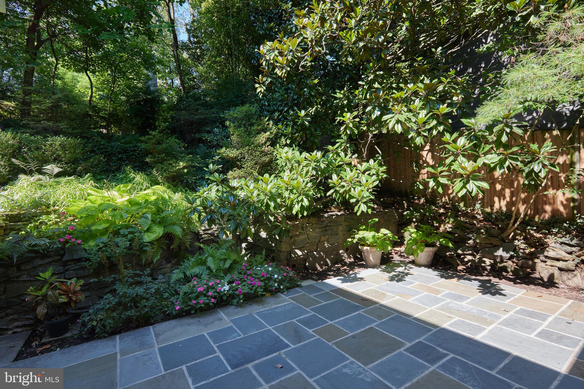 TAKOMA PARK - Residential