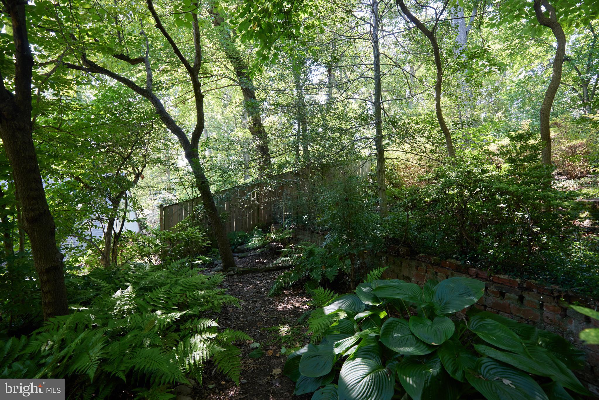 TAKOMA PARK - Residential