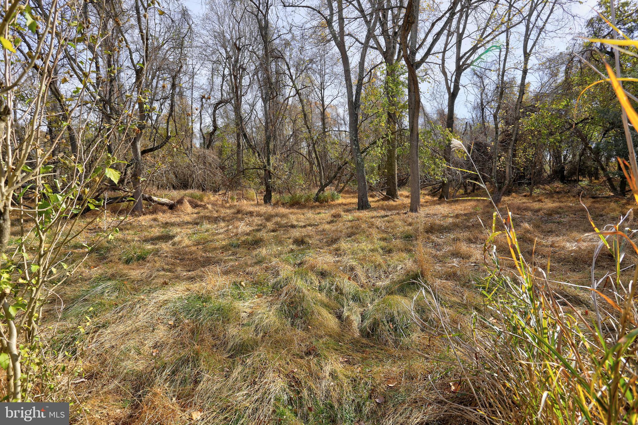 COLUMBIA HILLS - Residential