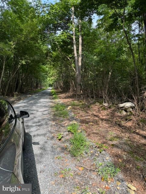 SMITH RUN ROAD