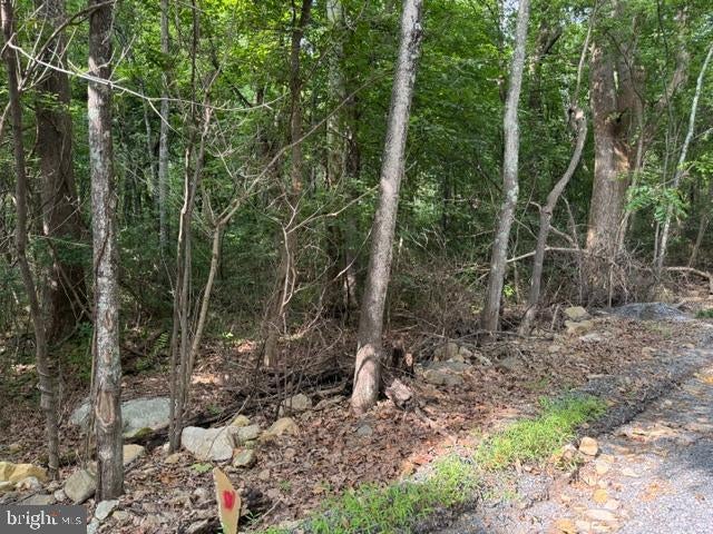SMITH RUN ROAD