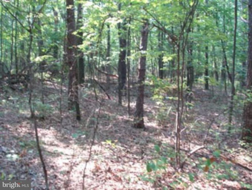 Perfect building lot for the VA commuters or a private getaway. Wooded 6.28 acres located in Oak Forest Subdivision. Close to VA line and Cacapon State Park. Common lot for access to the Sleepy Creek.  Perfect for your dream home or weekend getaway.