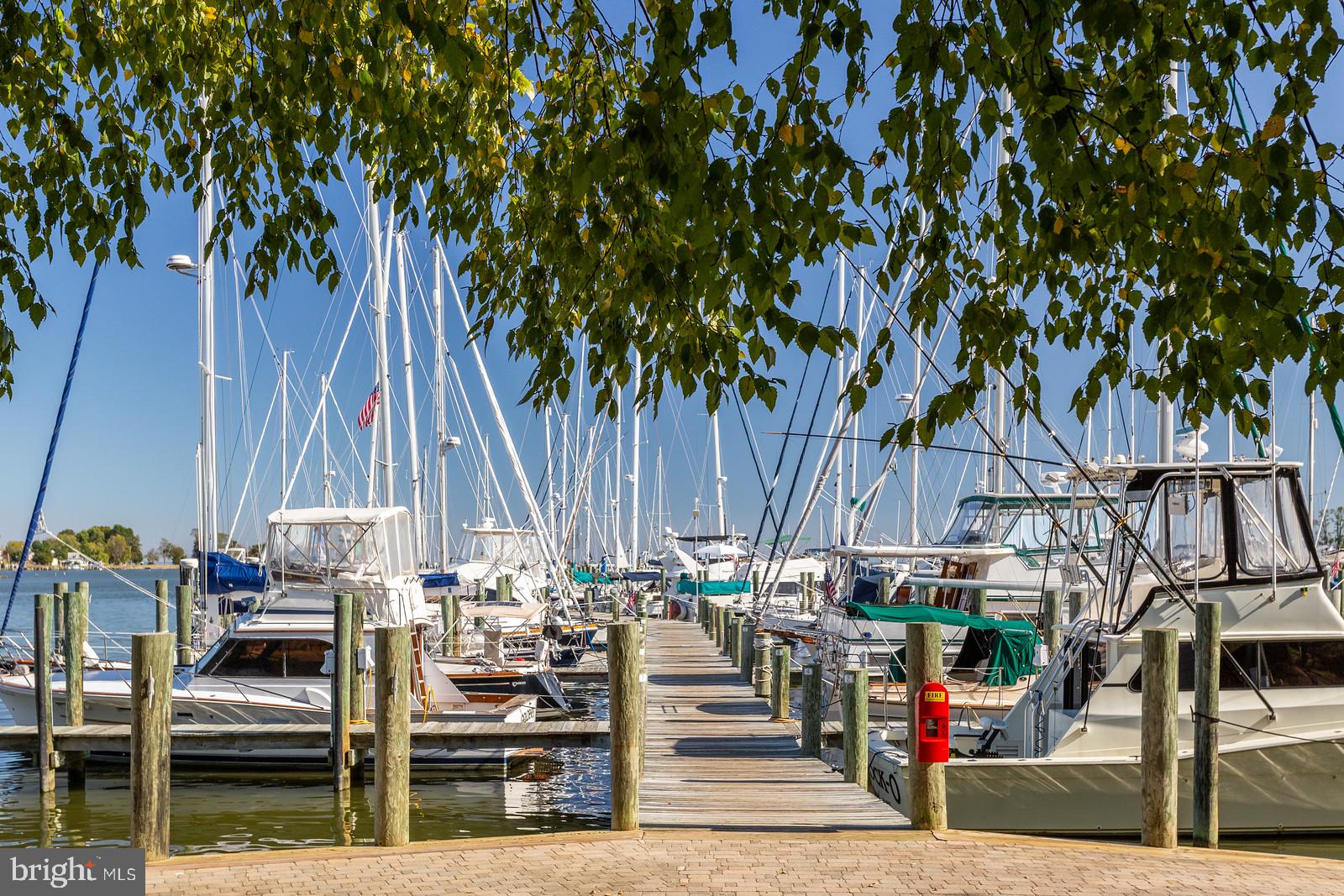 HERRING BAY VIEW - Residential
