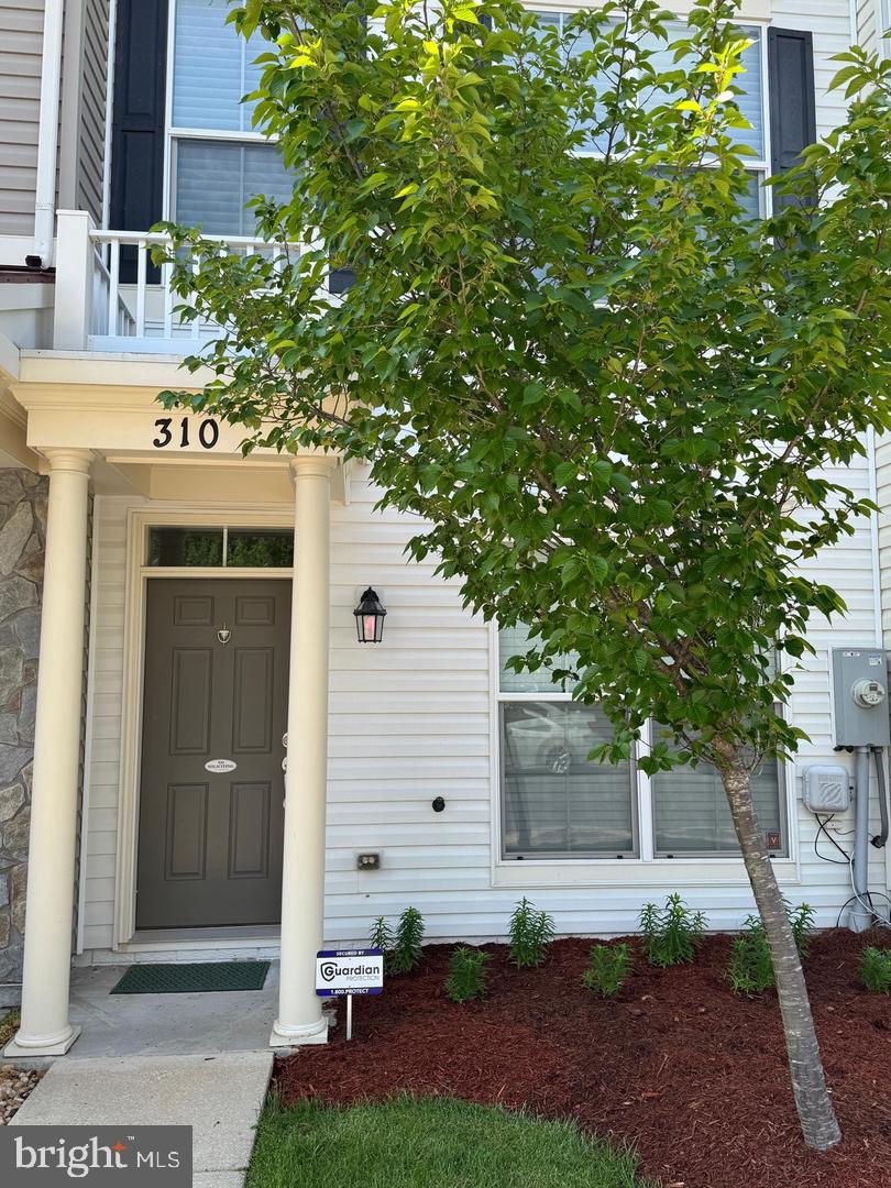 310 WHITE OAK WAY