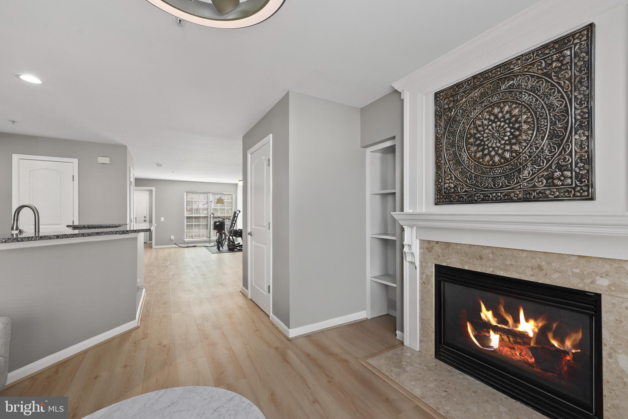 LAKE RIDGE POINTE CONDO - Residential