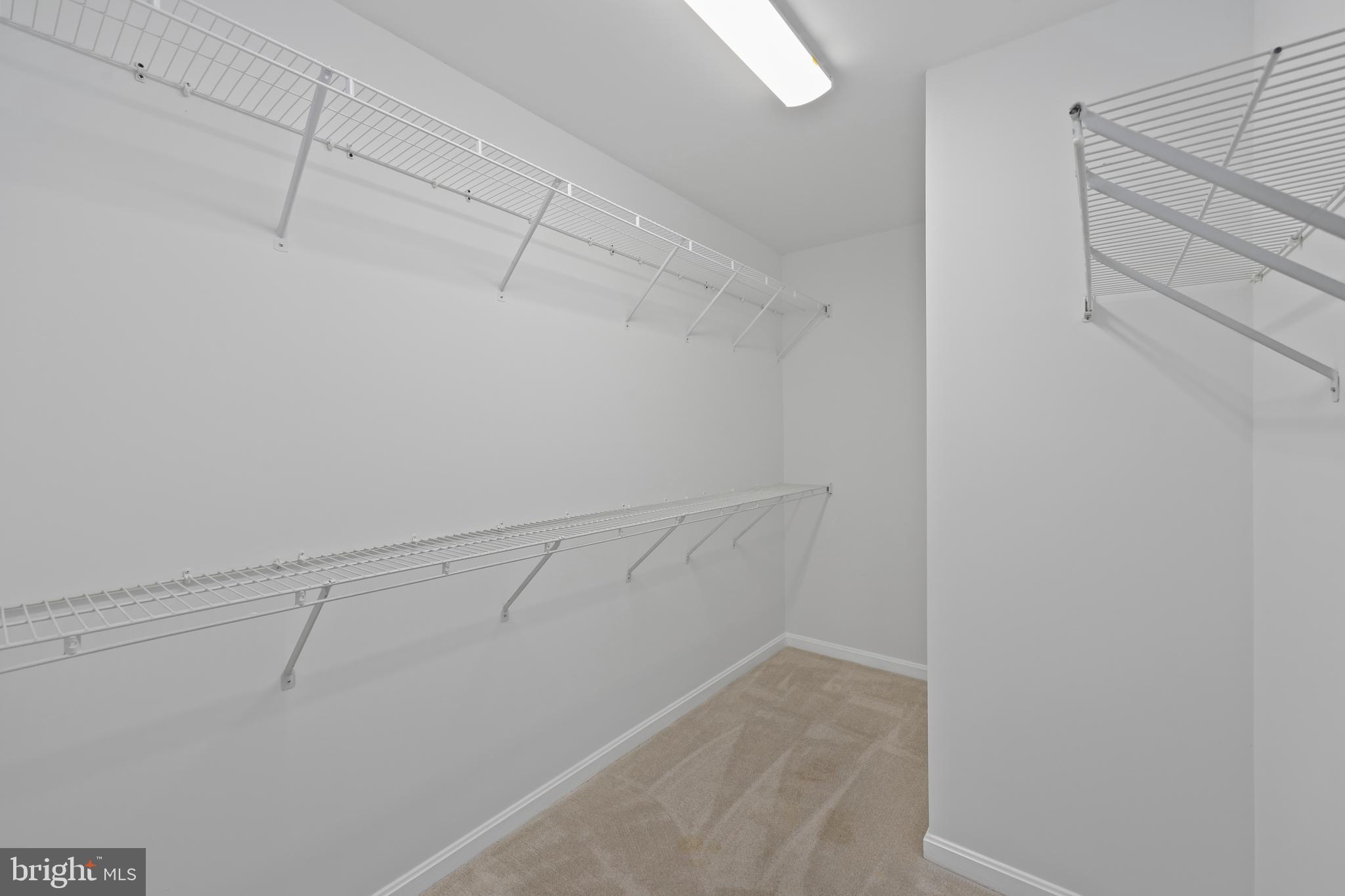 LAKE RIDGE POINTE CONDO - Residential