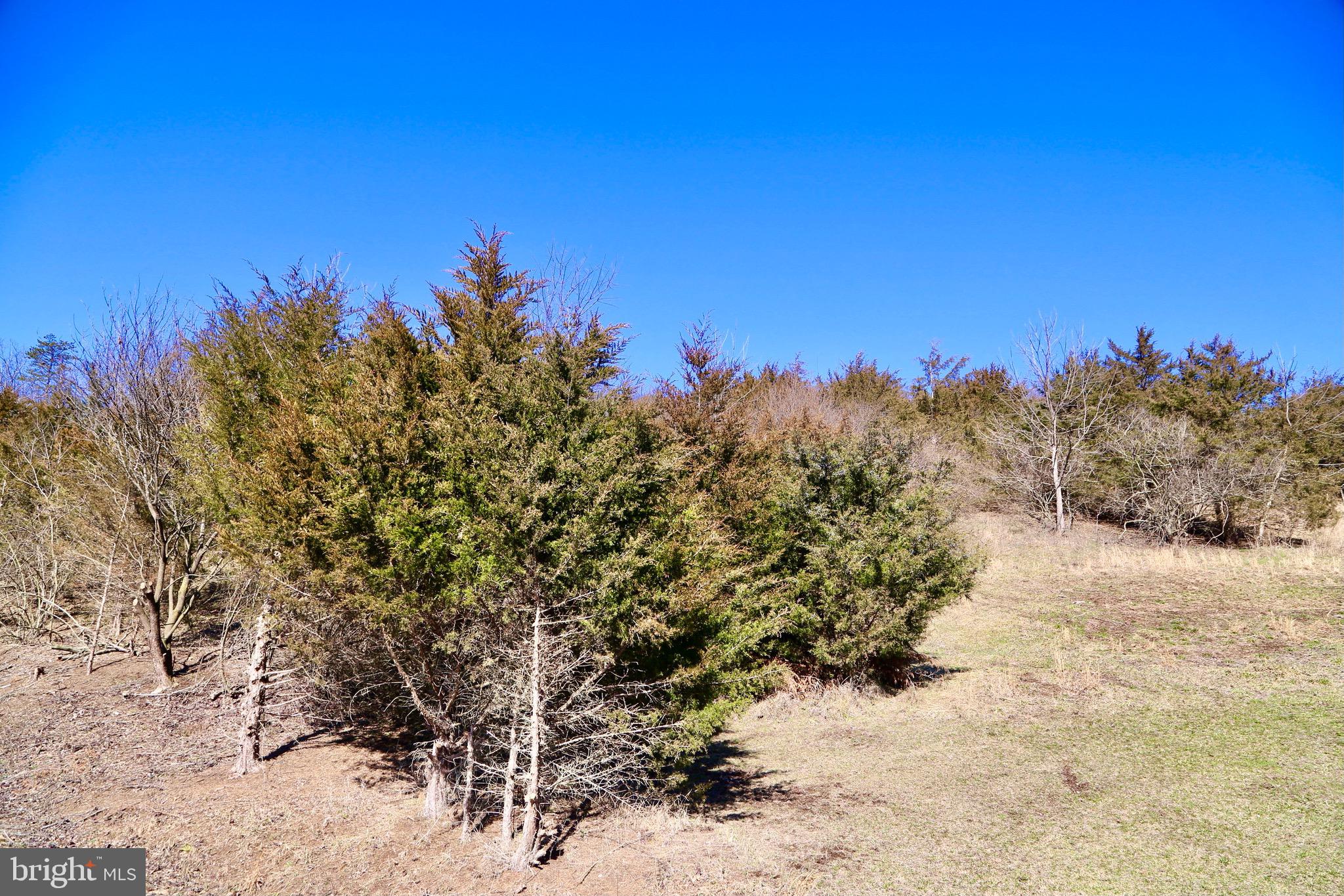 CRESCENT CROSSING - Land