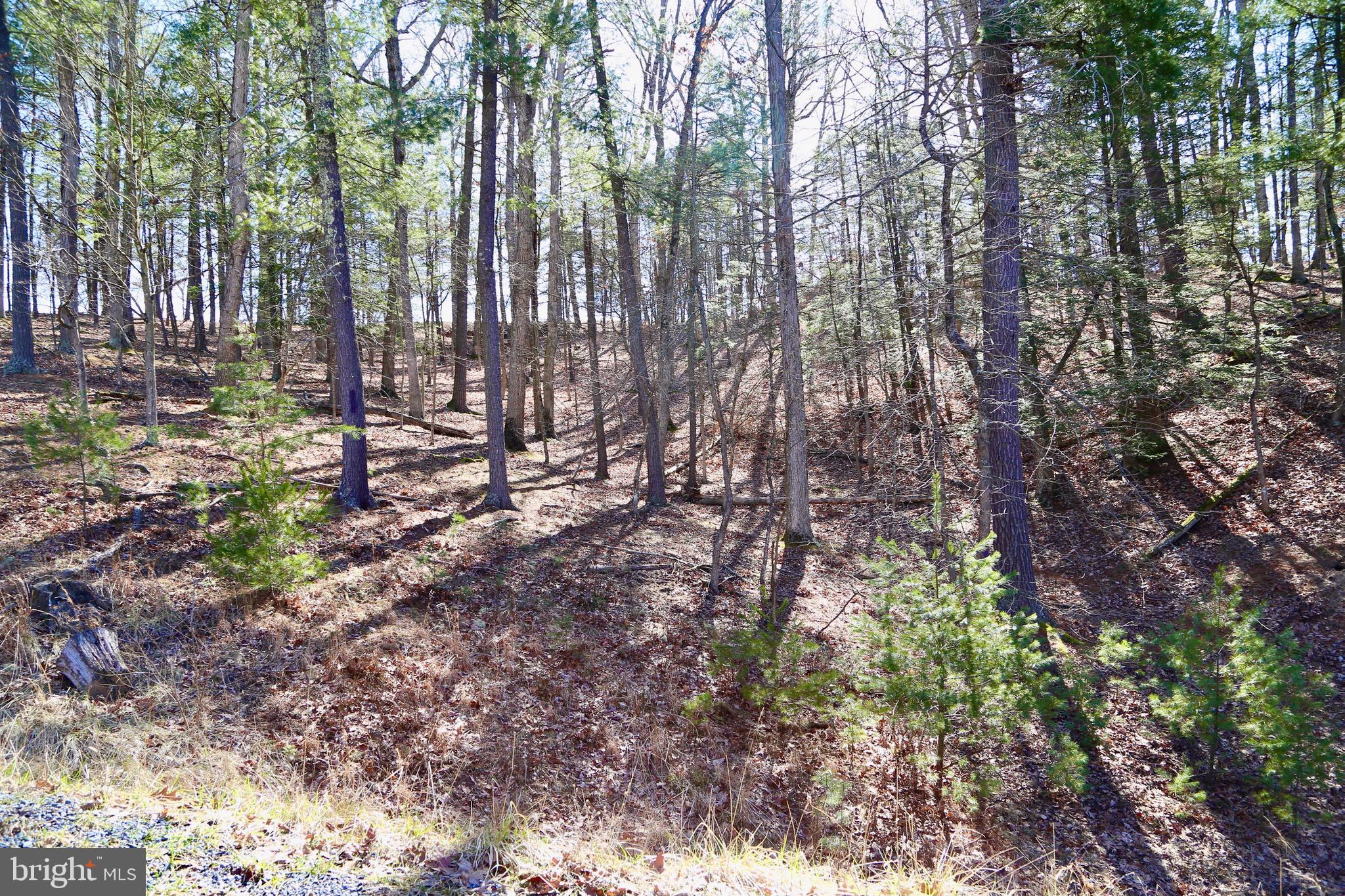 CRESCENT CROSSING - Land