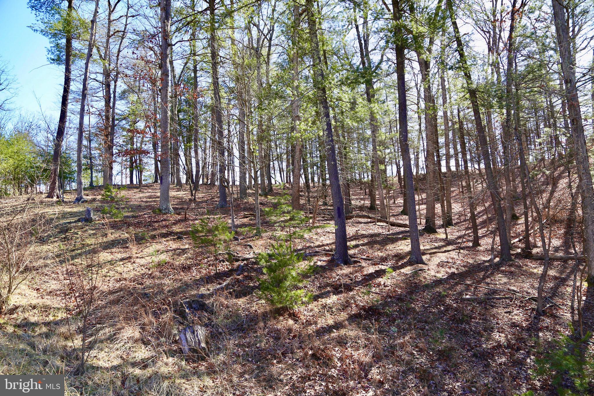 CRESCENT CROSSING - Land