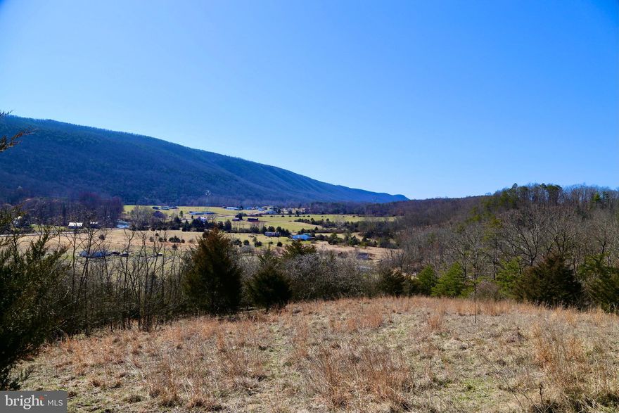 Embrace the beauty of nature and the allure of mountain views on this stunning 7.9-acre parcel in Crescent Crossing Subdivision. With a blend of wooded serenity and convenient access to Winchester, VA and Wardensville WV. This is the perfect spot to create your dream home retreat.  Property has been Perc tested,  and ready for your vision – seize the opportunity to build your mountain retreat with breathtaking surroundings. Schedule your showing today!