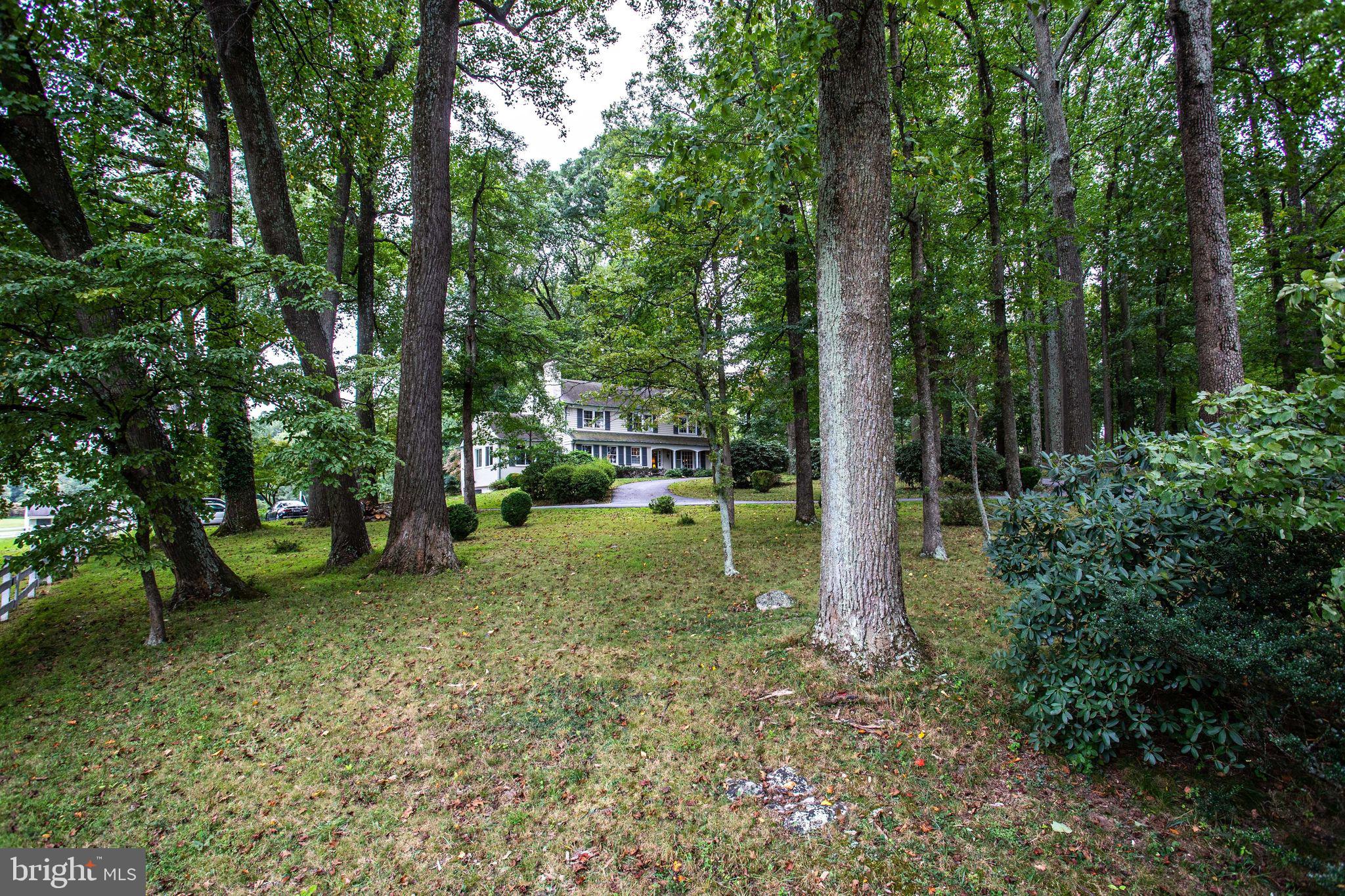 POTOMAC OUTSIDE - Residential