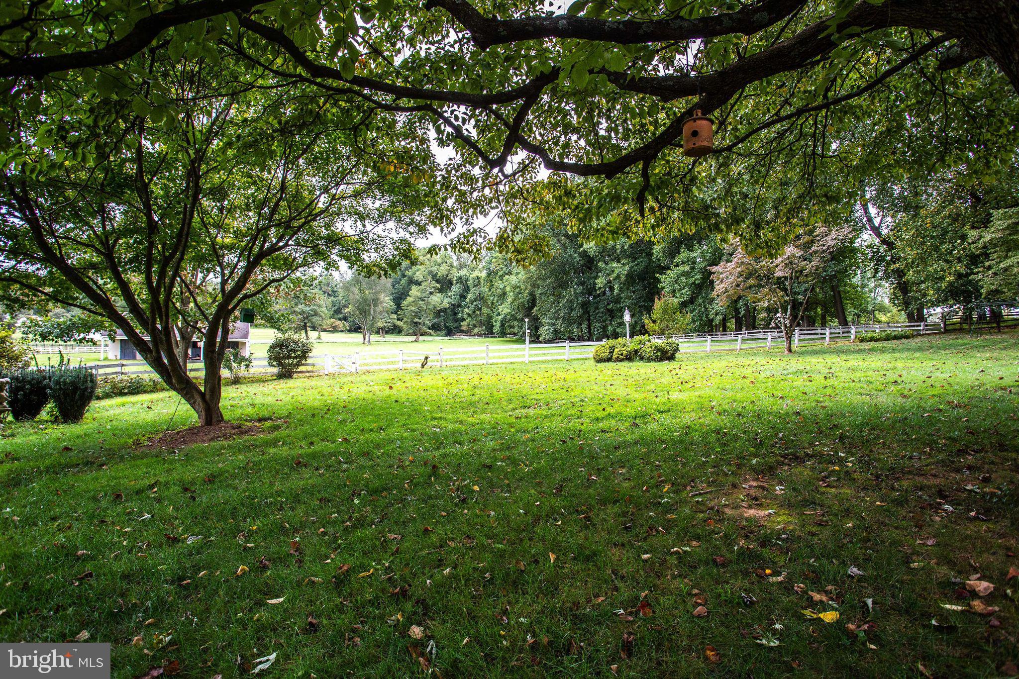 POTOMAC OUTSIDE - Residential