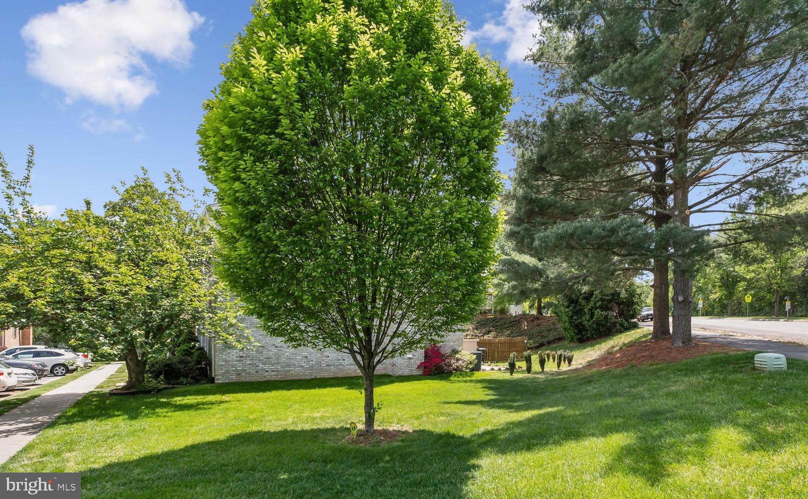 12159 STALLION COURT