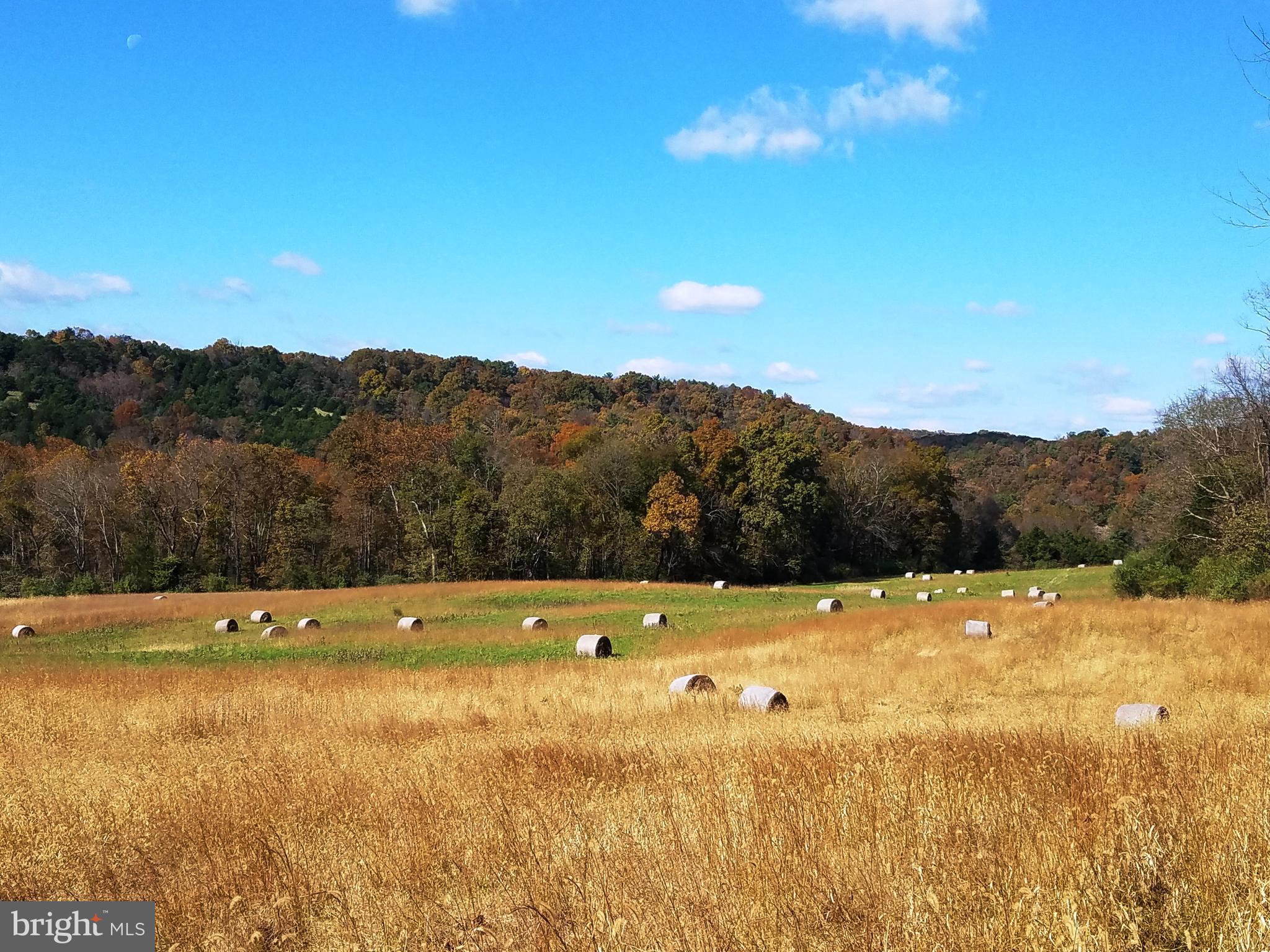 NONE AVAILABLE - Farm