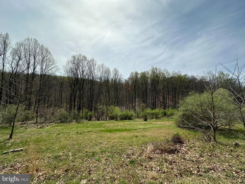 Photo for 1150 BUCK HOLLOW ROAD