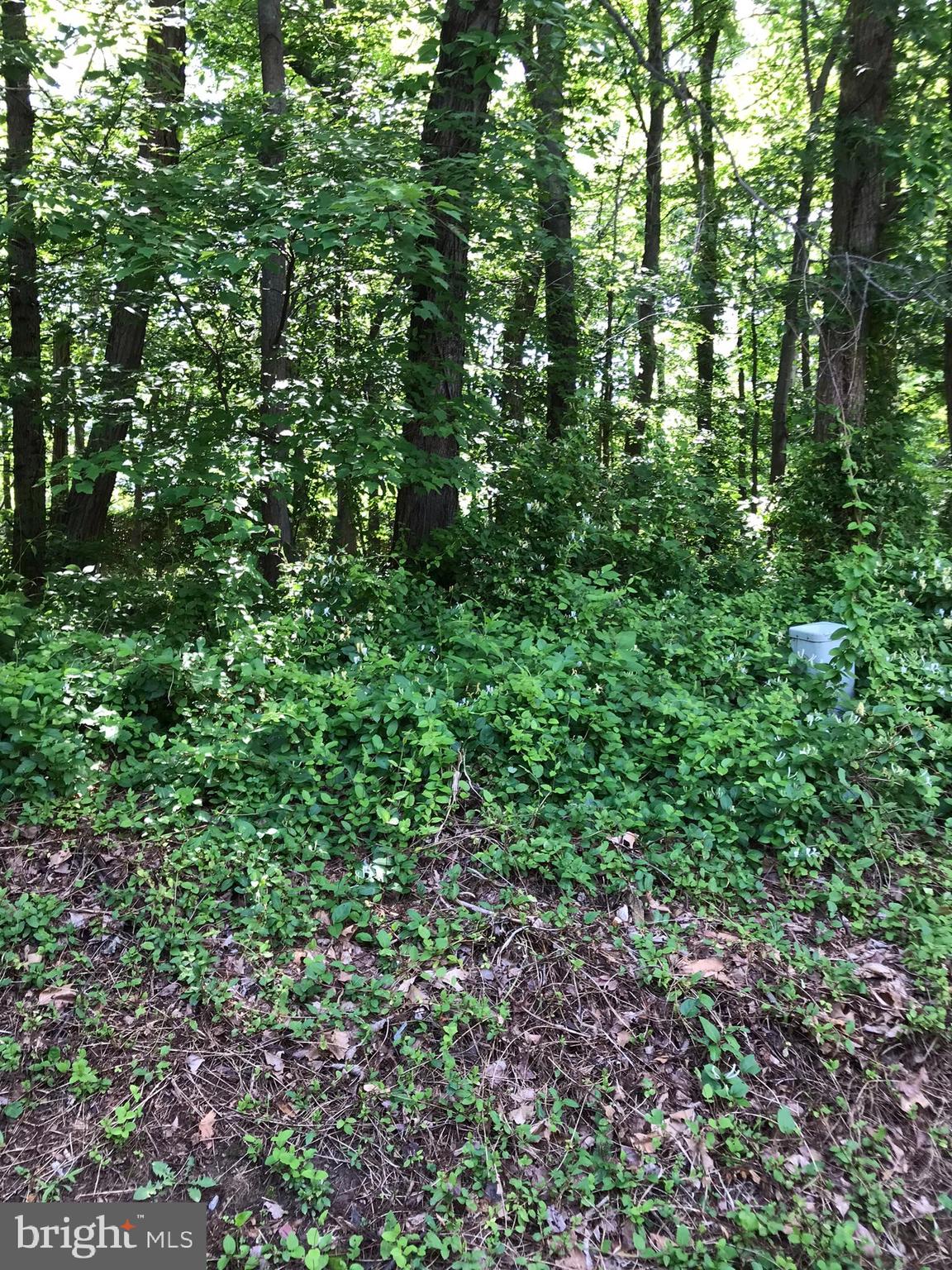 WOODCREST CLUSTER - Residential Lease