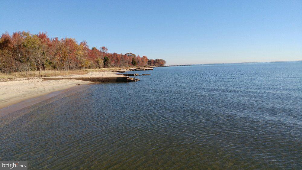 MAYO - Residential Lease