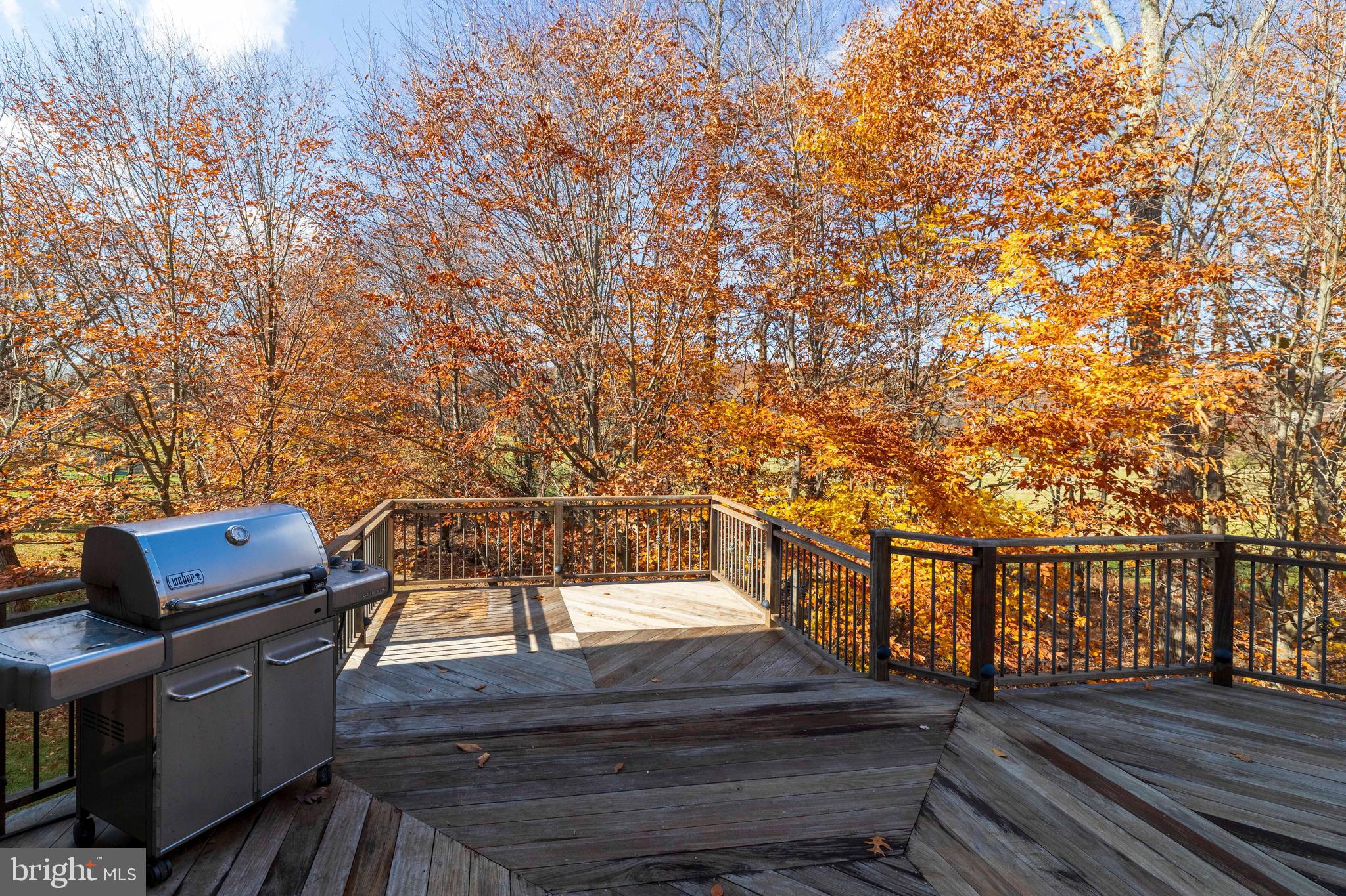 BUCKINGHAM FOREST - Residential