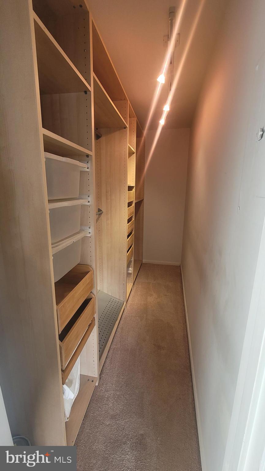 CHESTNUT HILL - Residential Lease