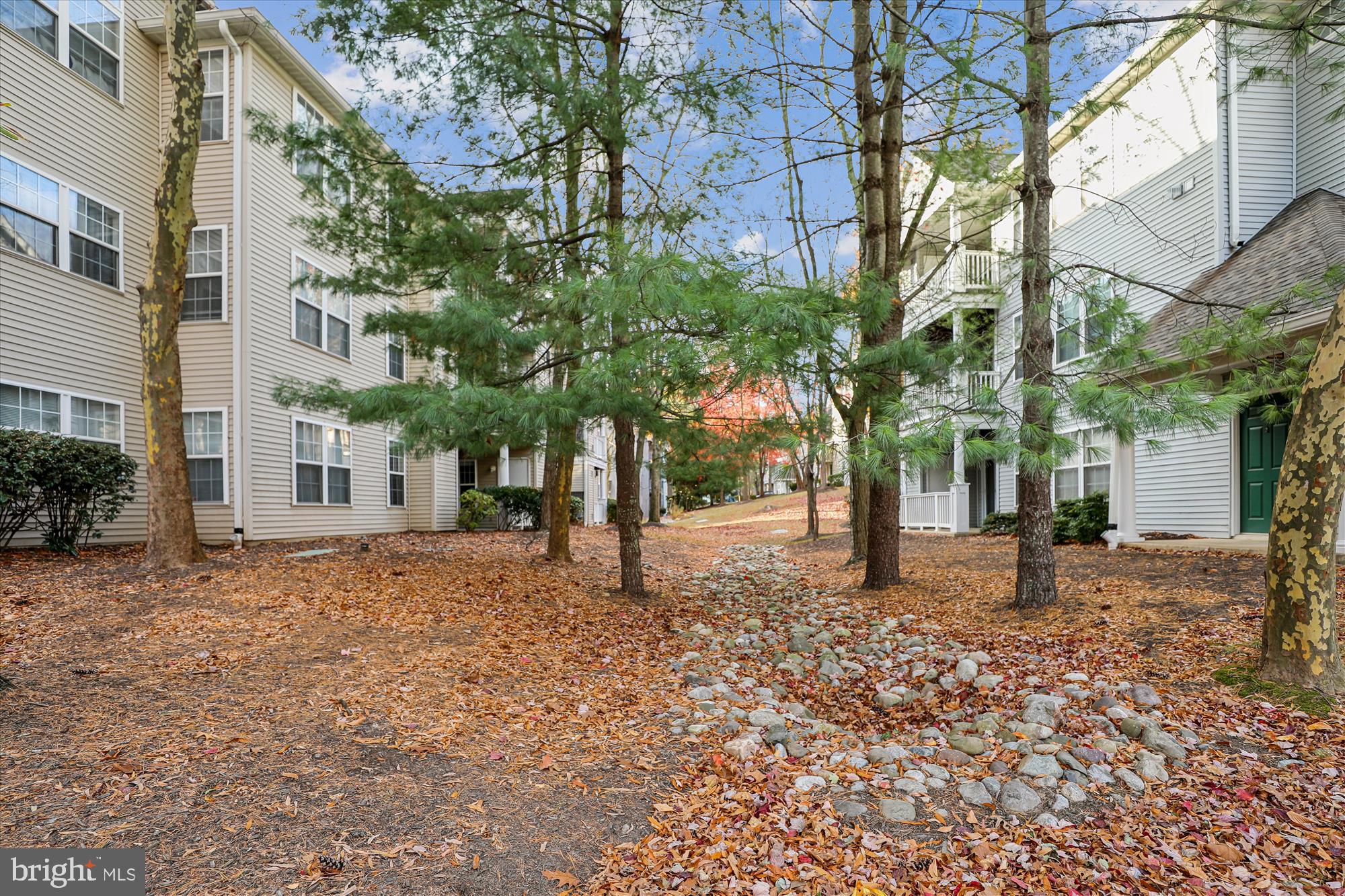 COLUMBIA TOWN CENTER - Residential