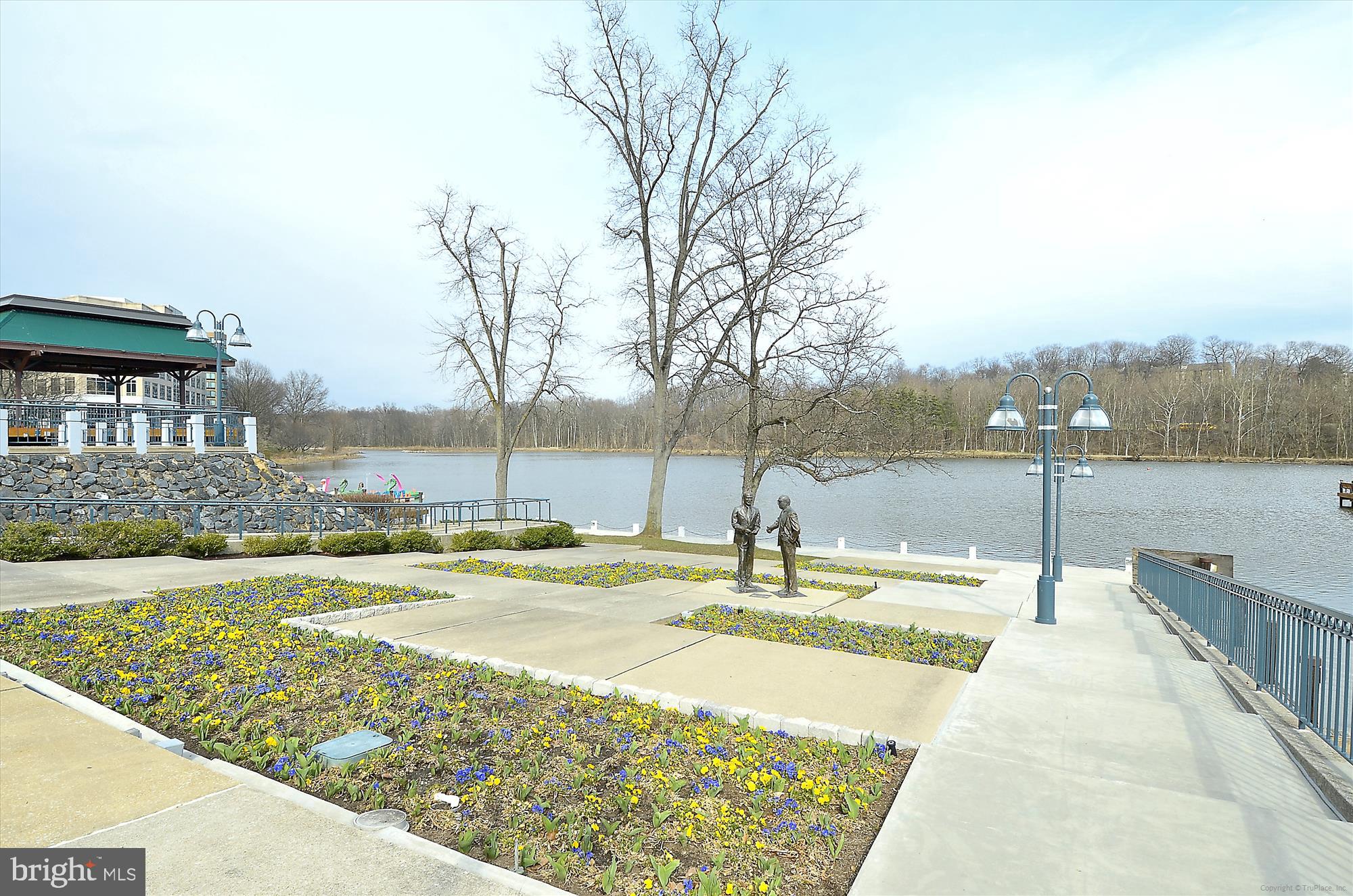 COLUMBIA TOWN CENTER - Residential