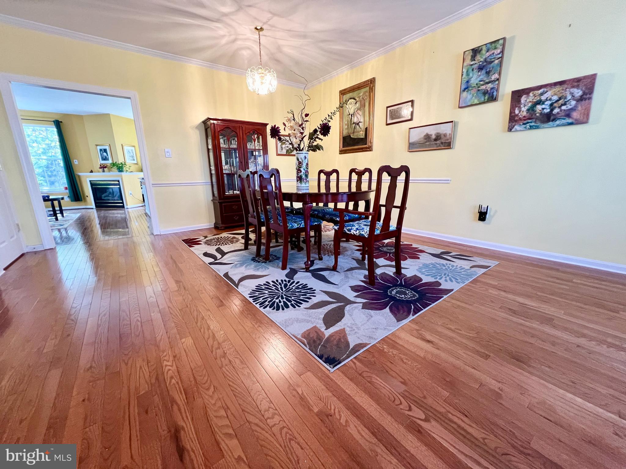 47379 DARKHOLLOW FALLS TERRACE