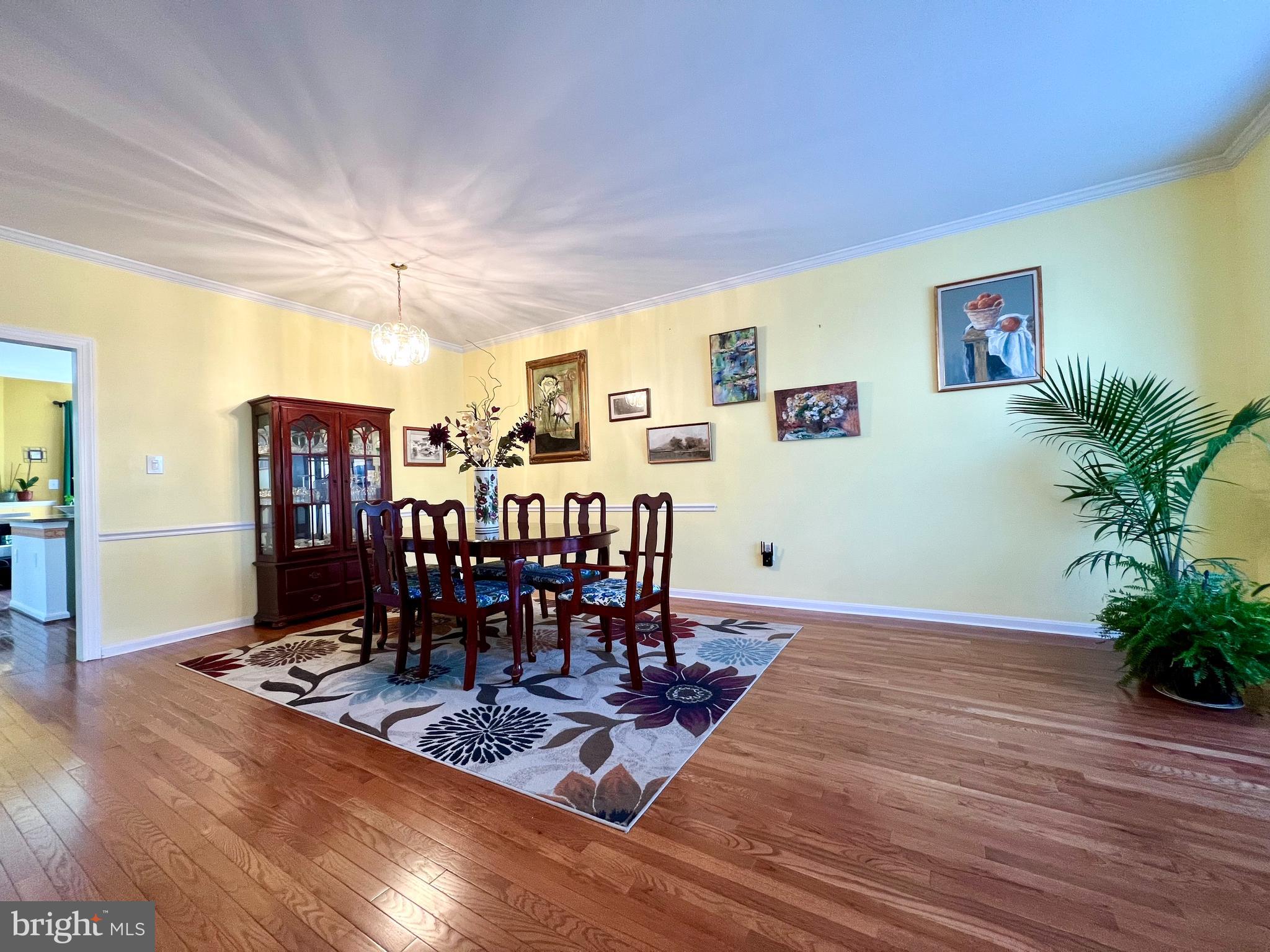 47379 DARKHOLLOW FALLS TERRACE