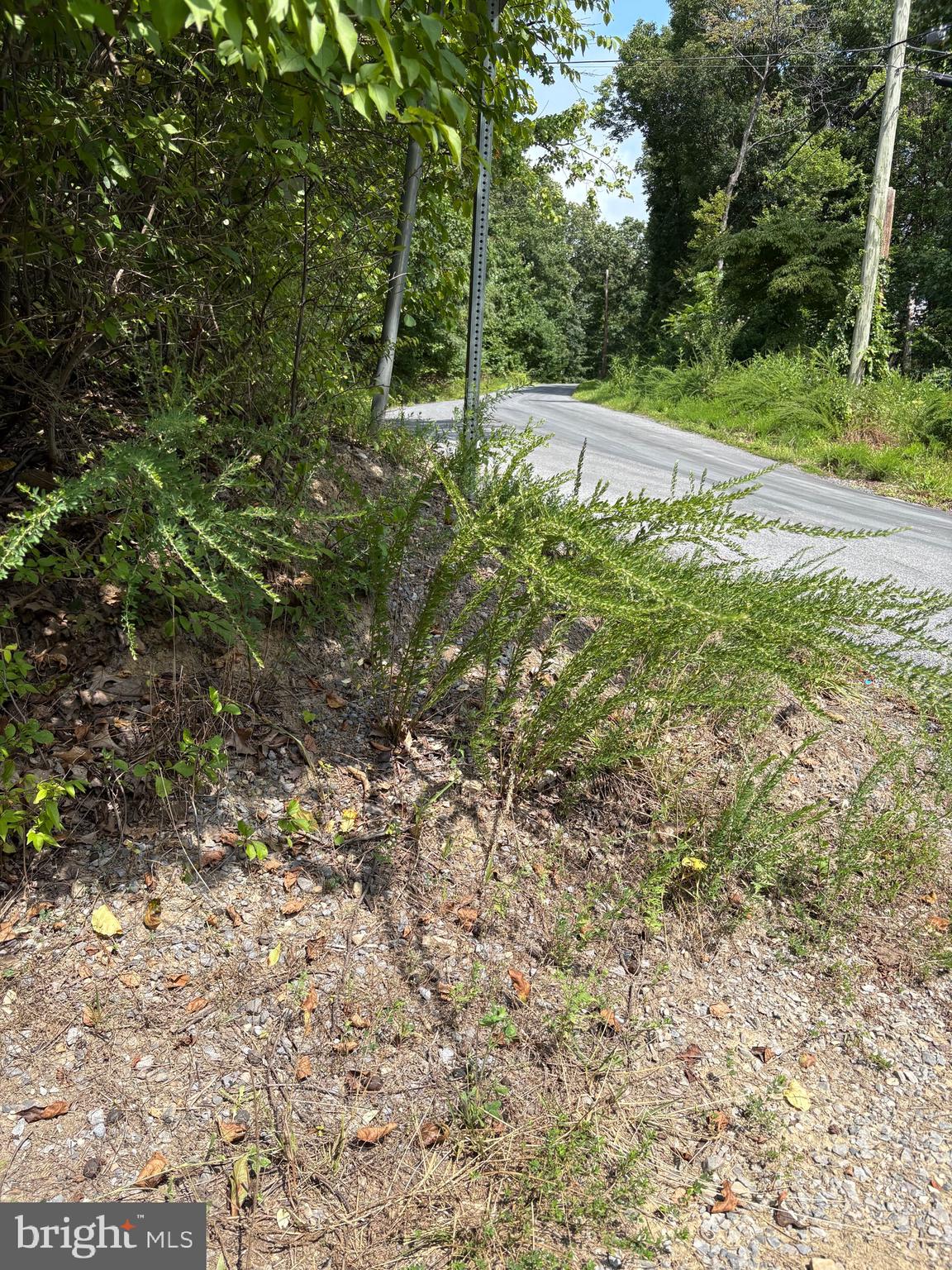 DRUMMER HILL RD