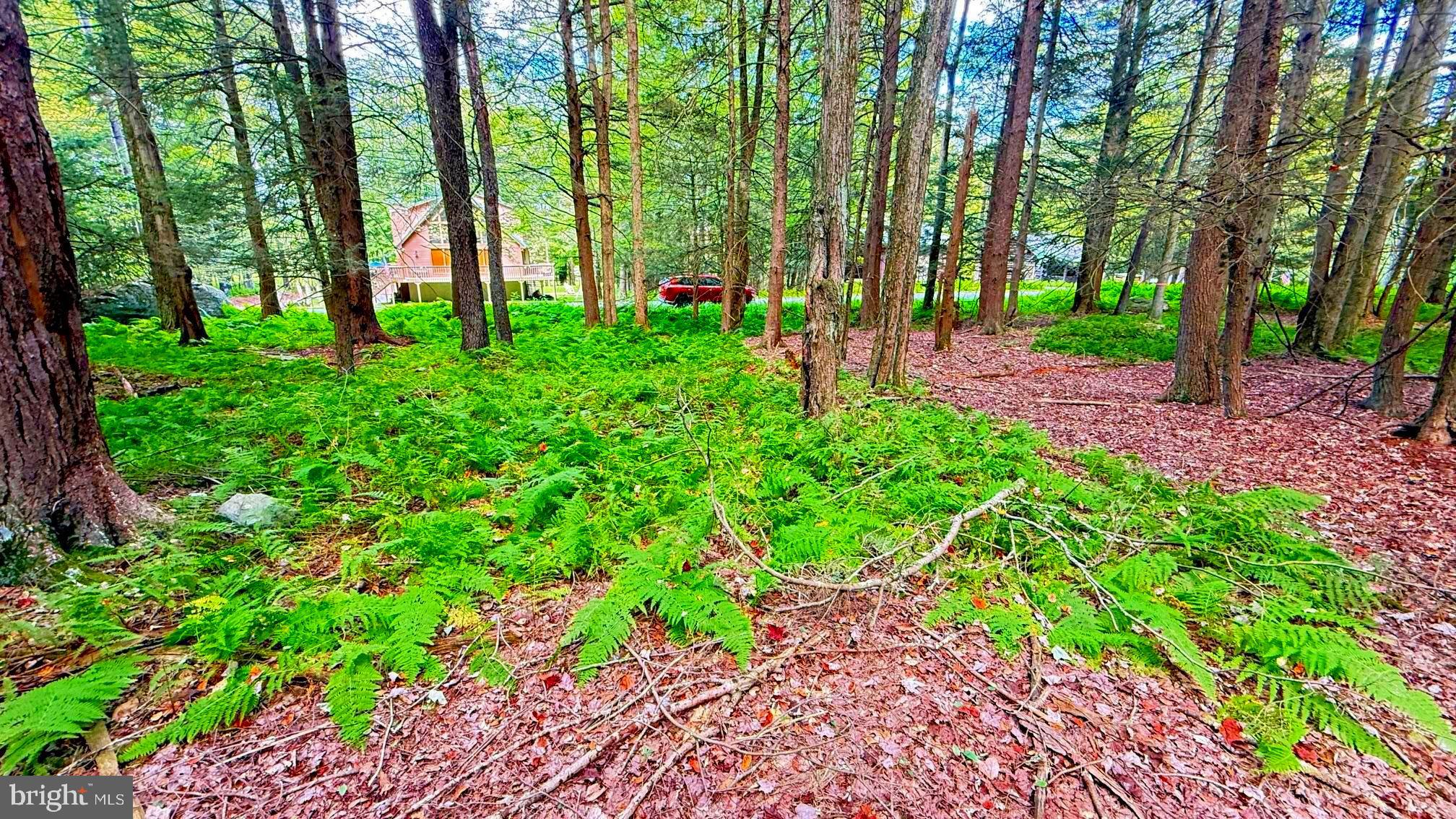 Lot 207 CYGNUS RD