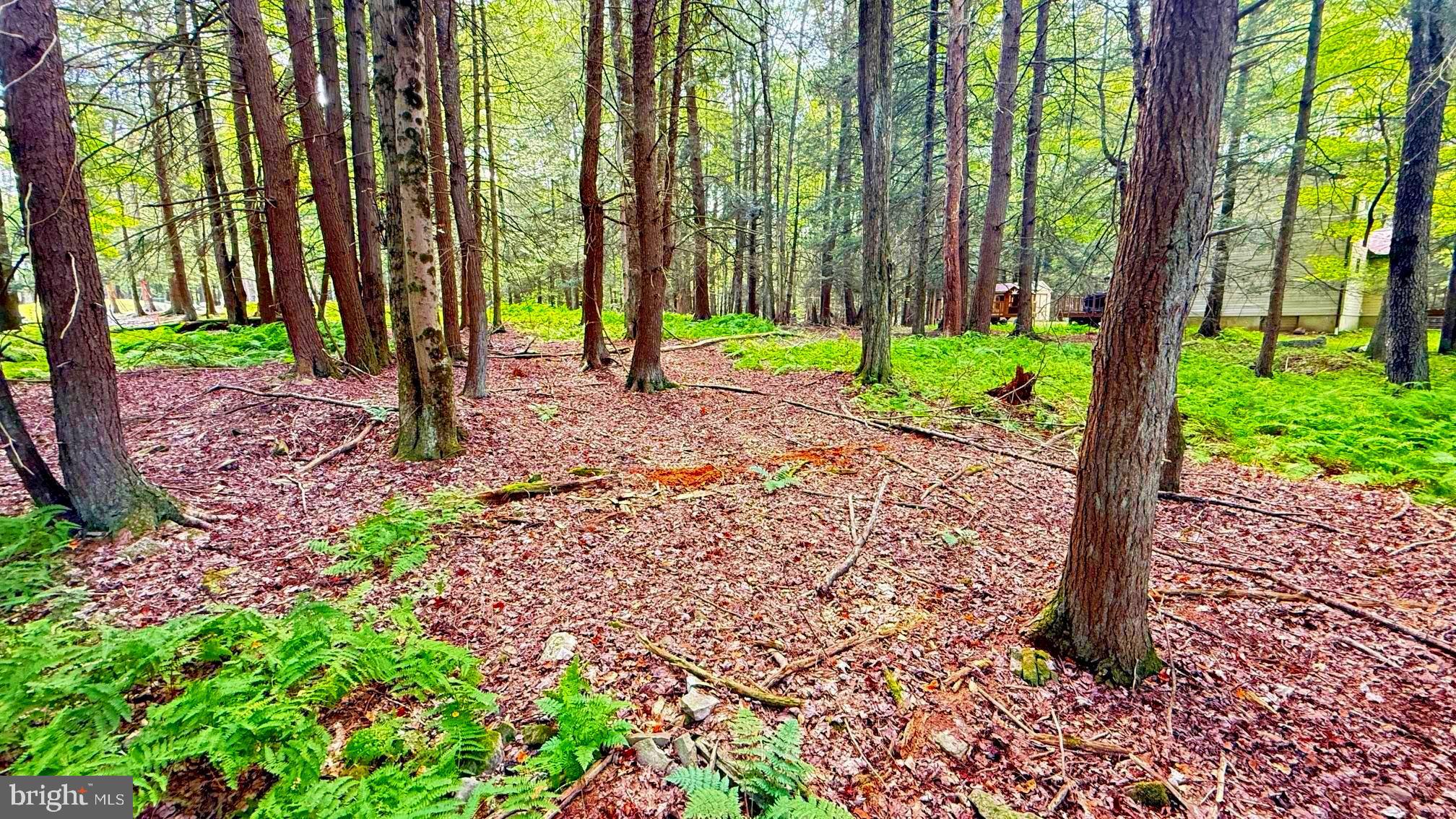 Lot 207 CYGNUS RD