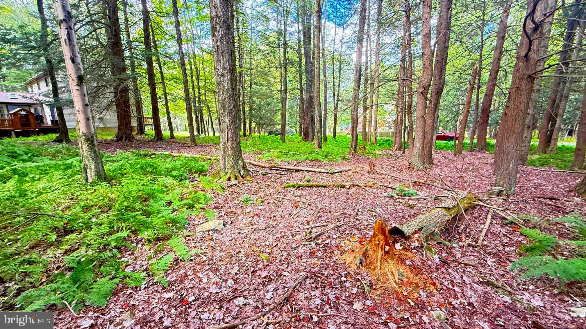 Lot 207 CYGNUS RD