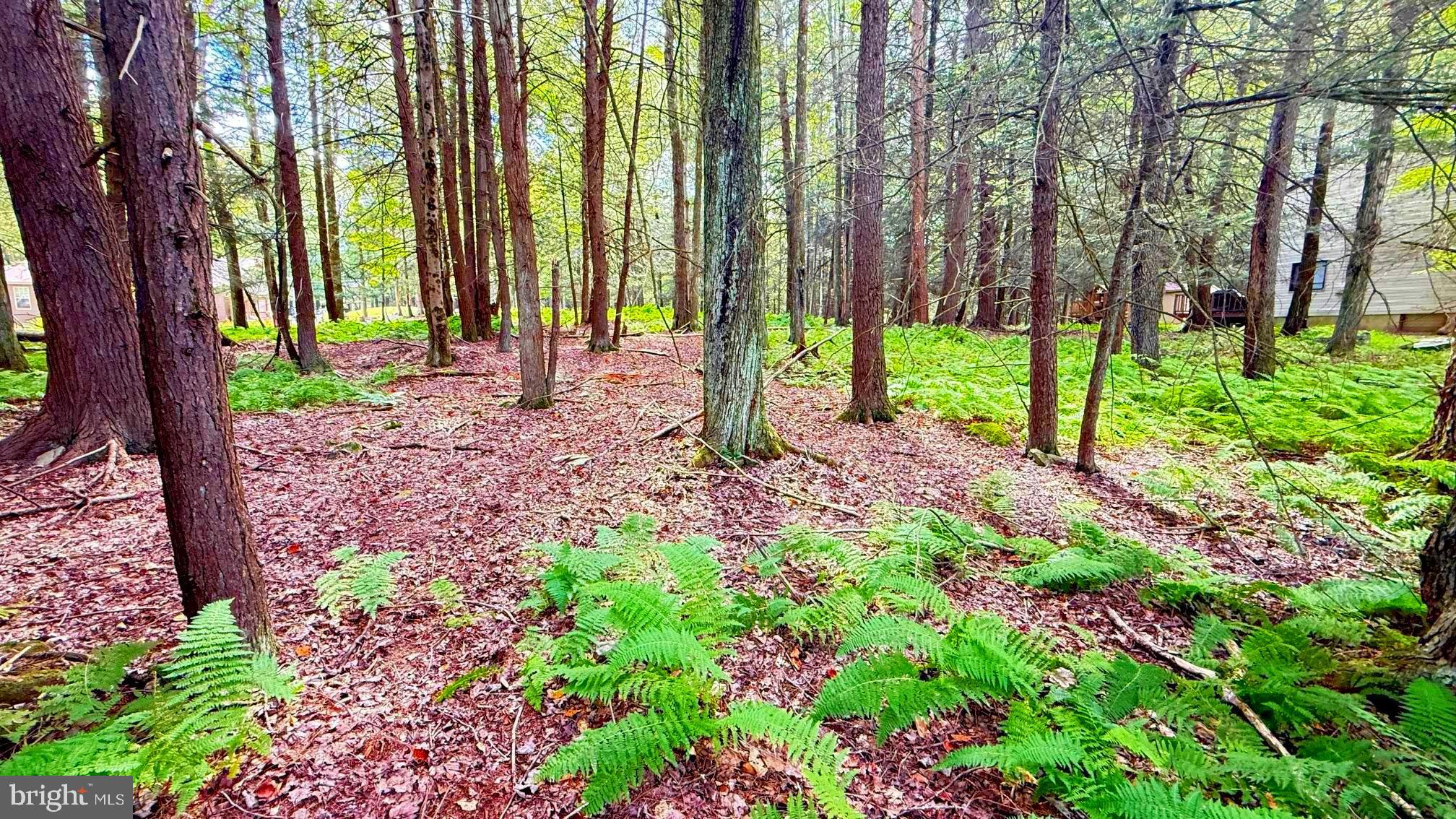 Lot 207 CYGNUS RD