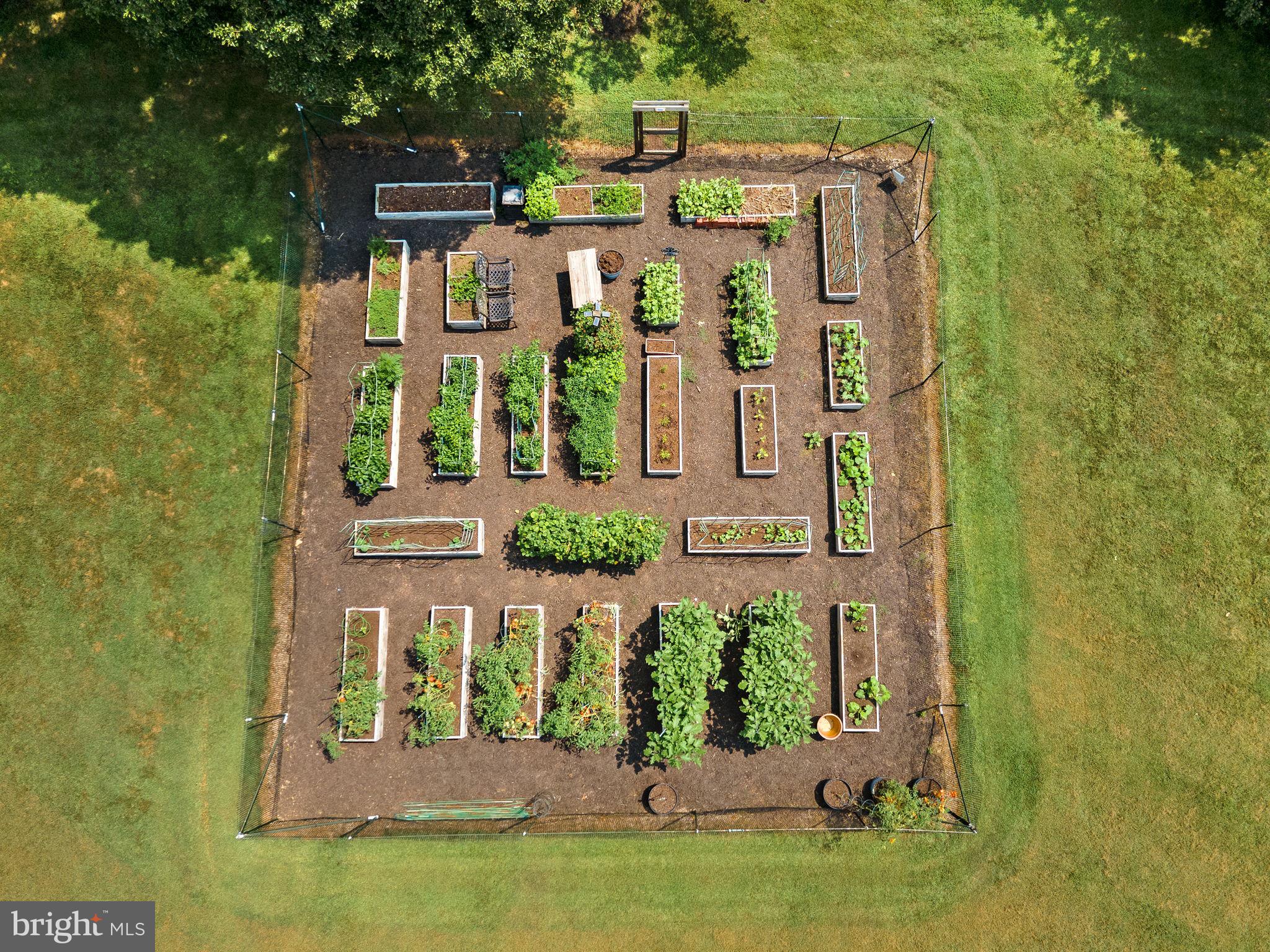 TREVOR HILL - Residential