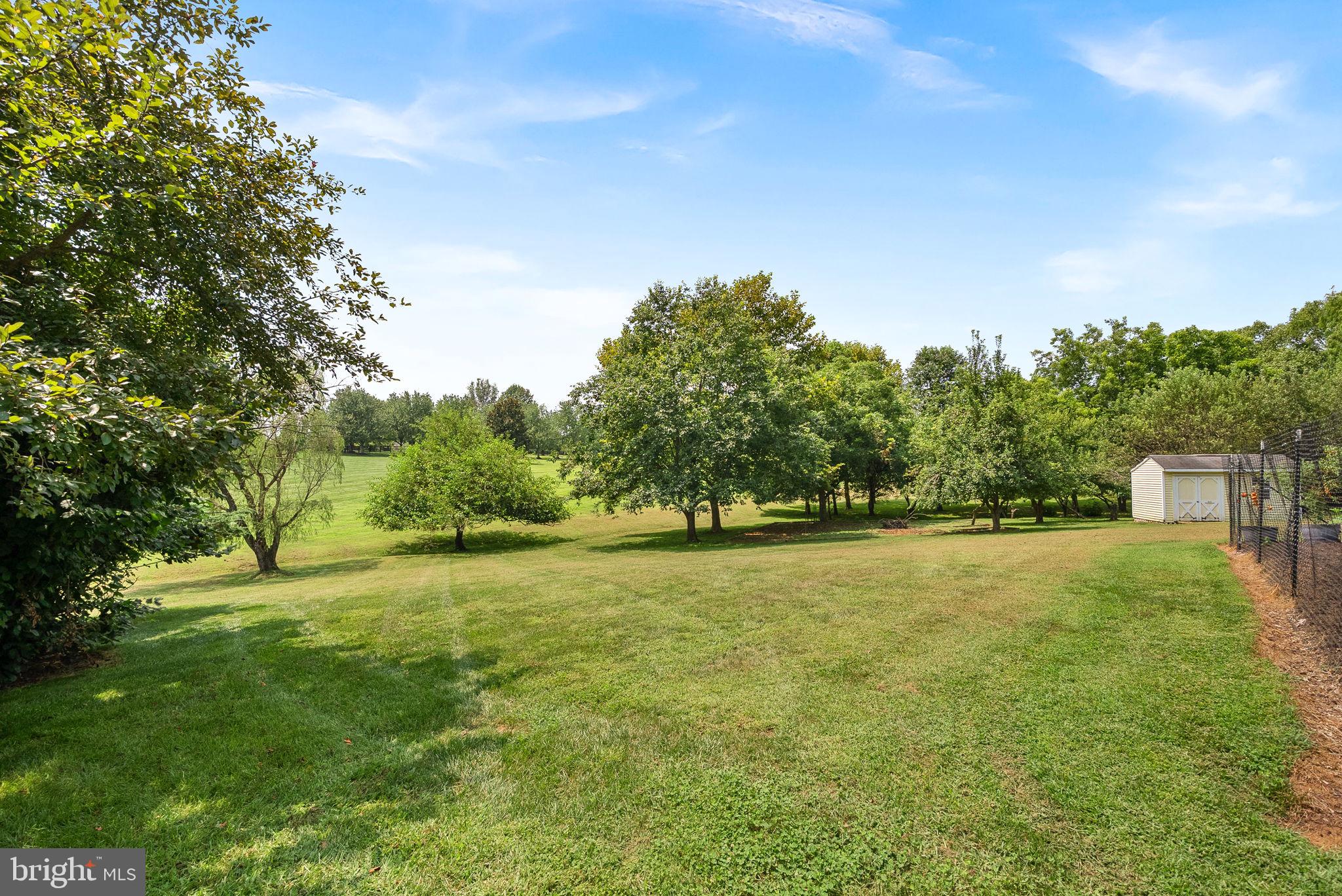 TREVOR HILL - Residential