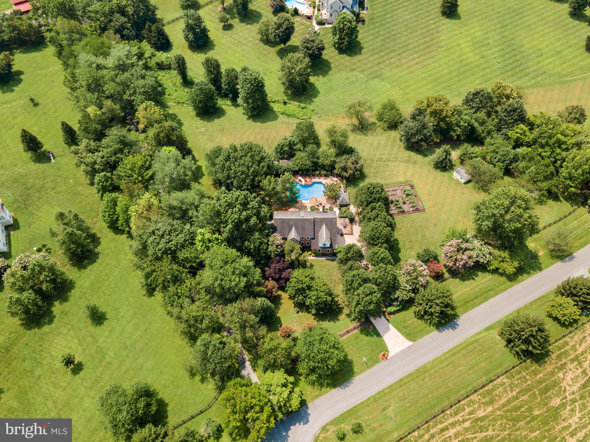 TREVOR HILL - Residential