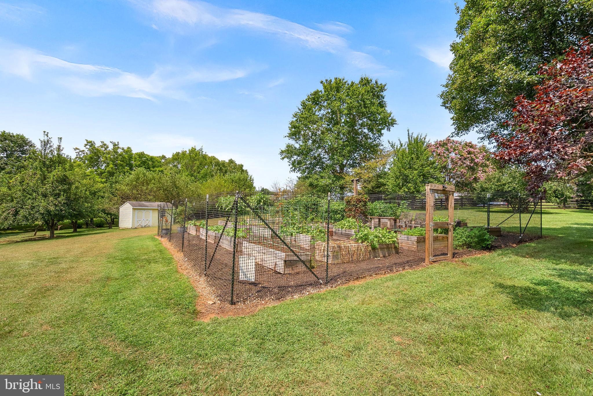 TREVOR HILL - Residential