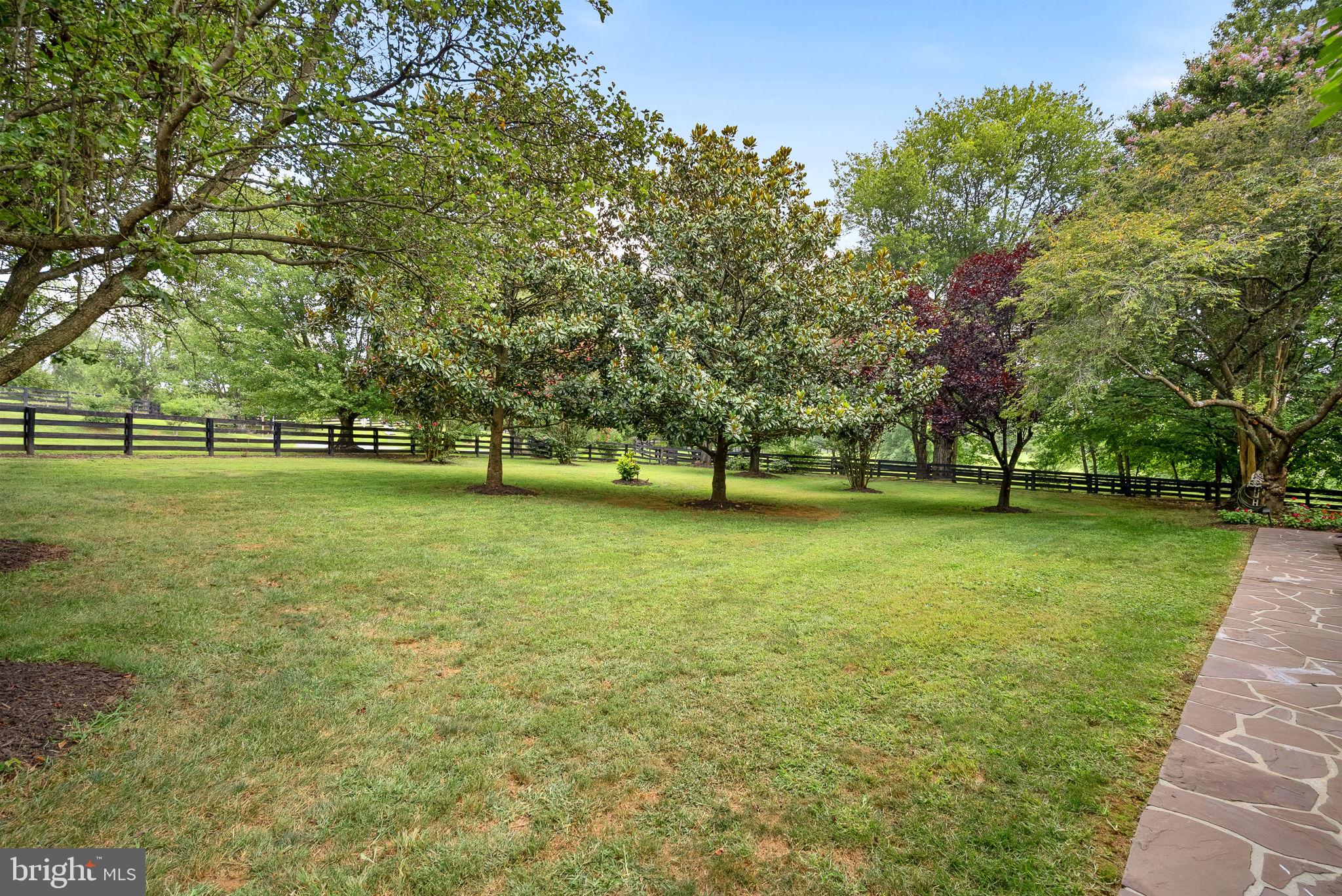 TREVOR HILL - Residential